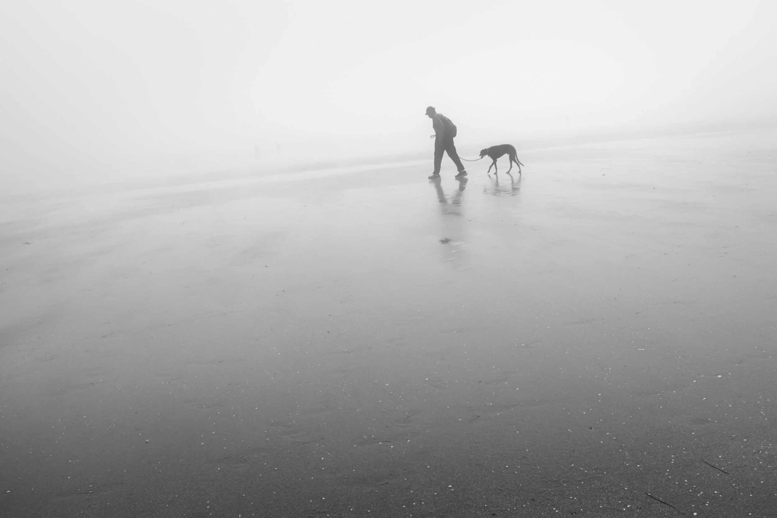 DSCF9773-Edit copy.jpg