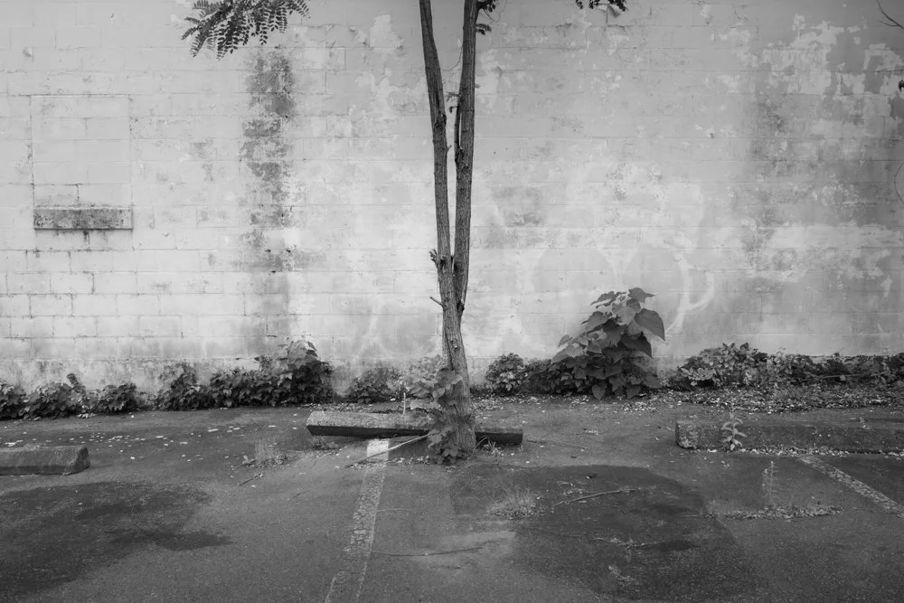 R0009082-Edit copy.jpg