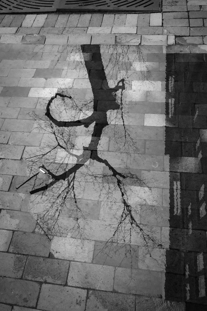 R0033303-Edit copy.jpg