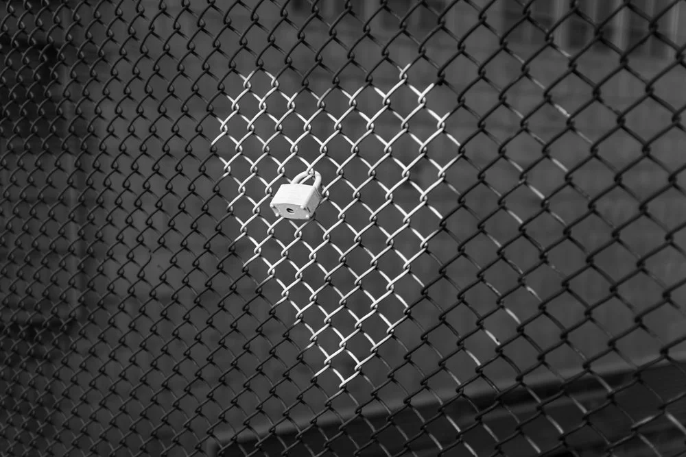 DSCF0618-Edit copy.jpg