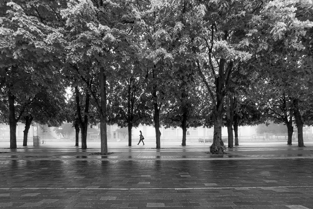 IMG_6553-Edit copy (1).jpg