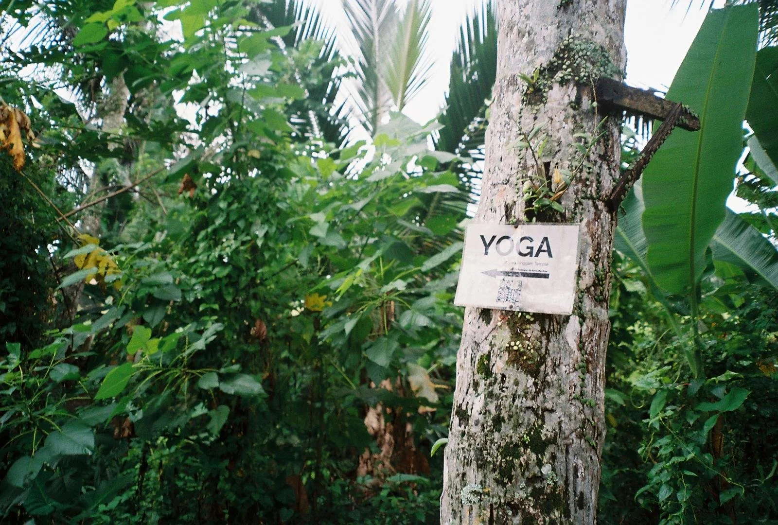 Wellness Tourism: A Visit to Bali