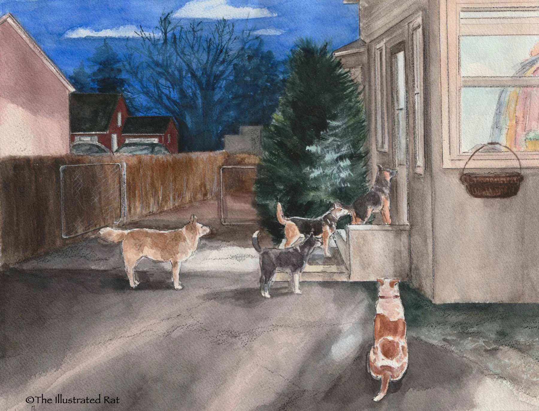 jessica's dogs.jpg