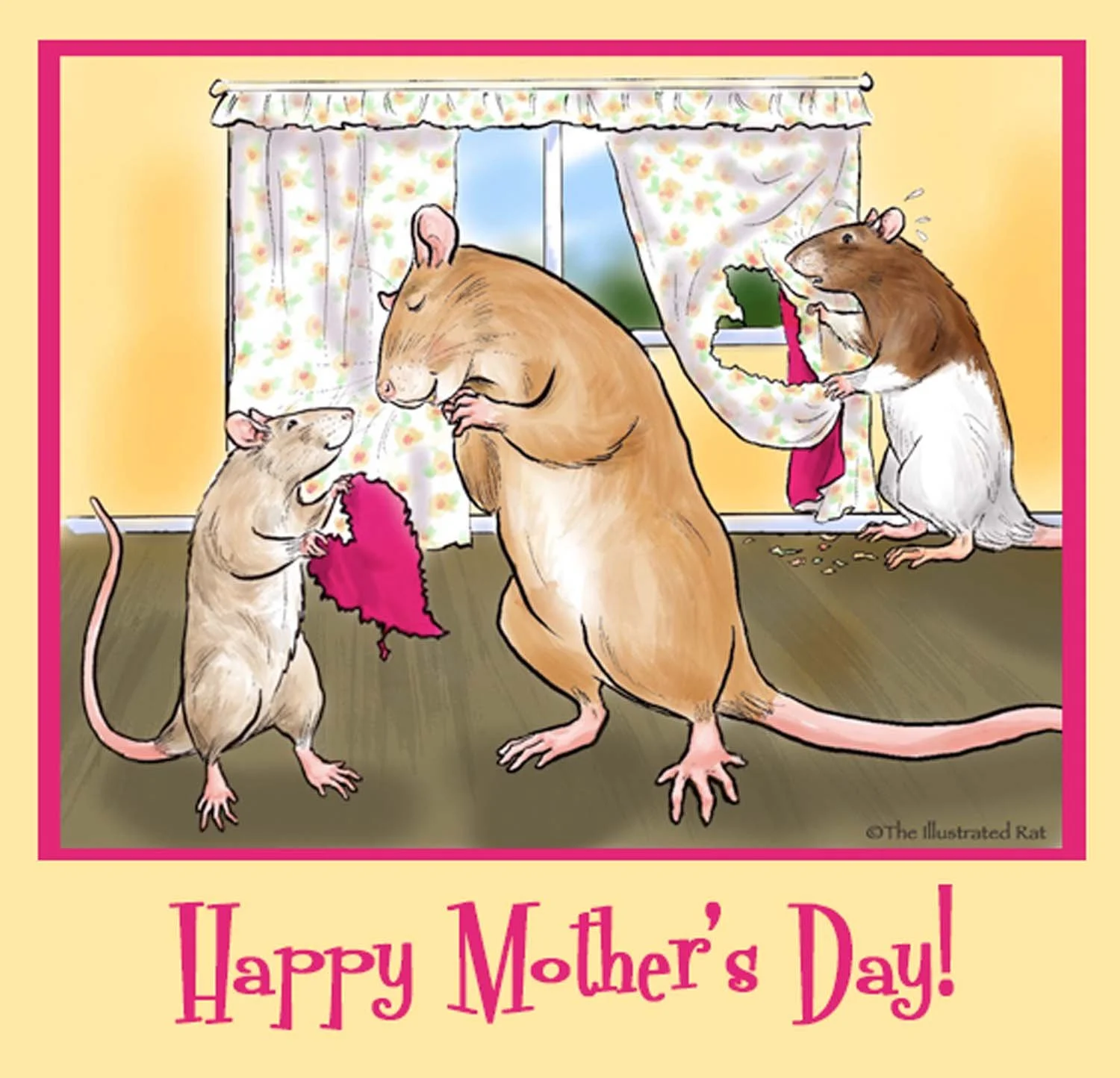 momday26.jpg