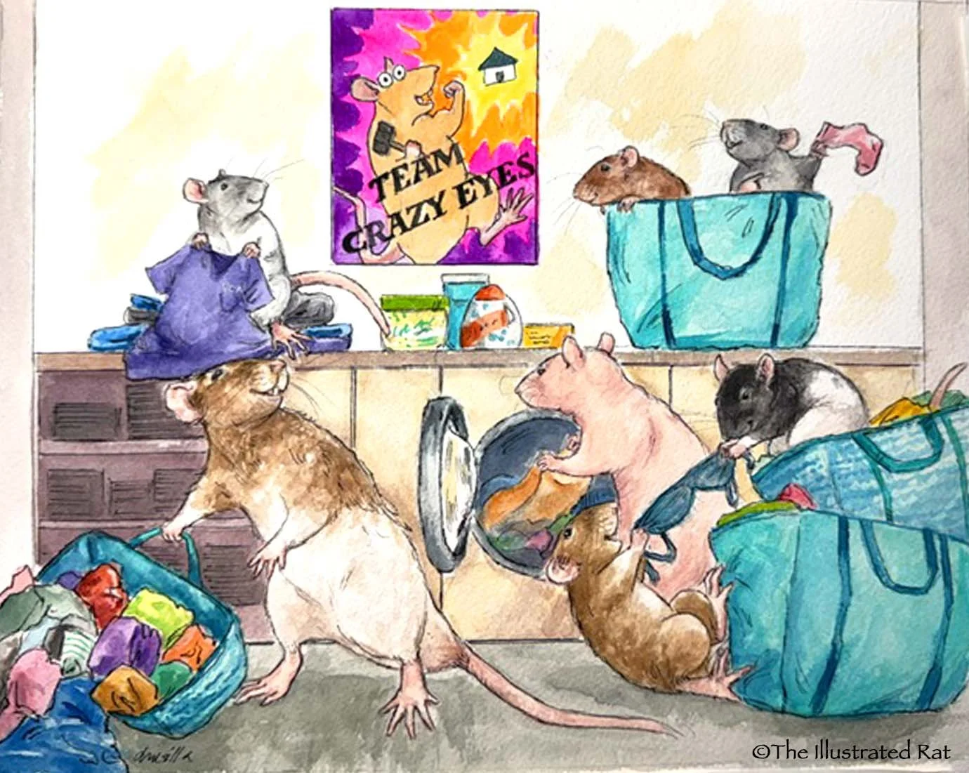 laundry rats.jpg