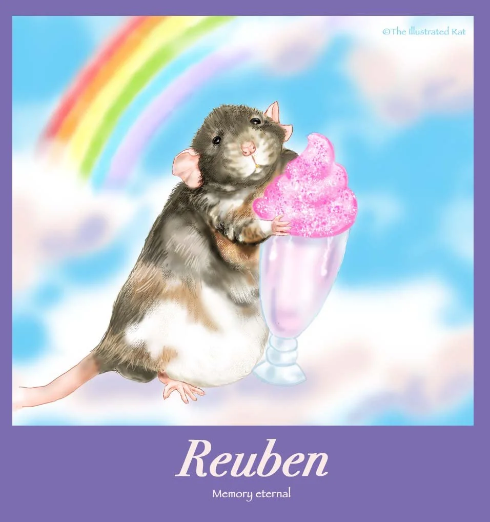 Reuben for sarah.jpg