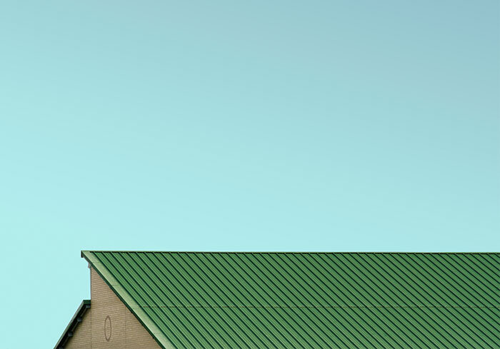 Annamie Paul, cheffe du Parti vert du Canada