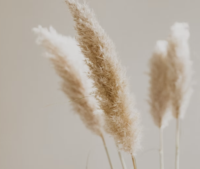 Politique municipale: les temps ont changé 