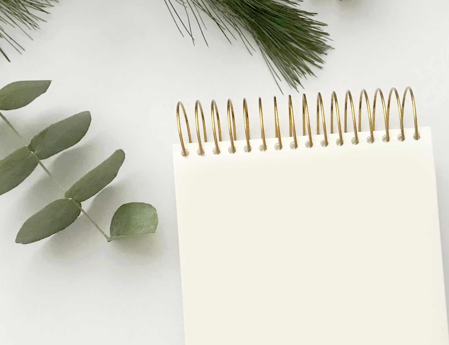 Mensuel E-Premières - Édition du 7 décembre 2021 