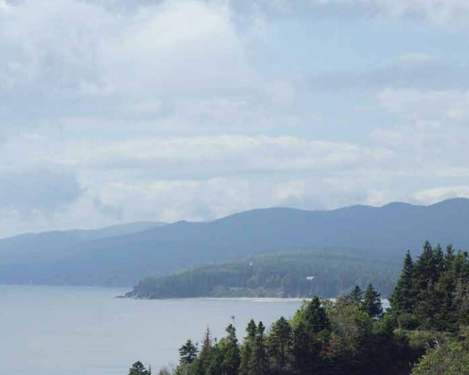 Des pagaies ancestrales 