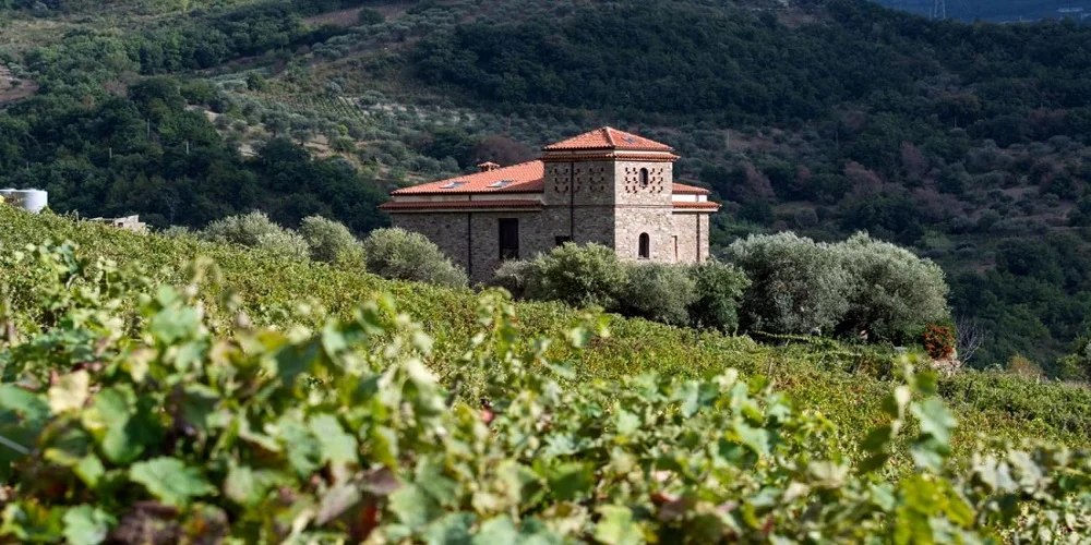 Winery.jpg