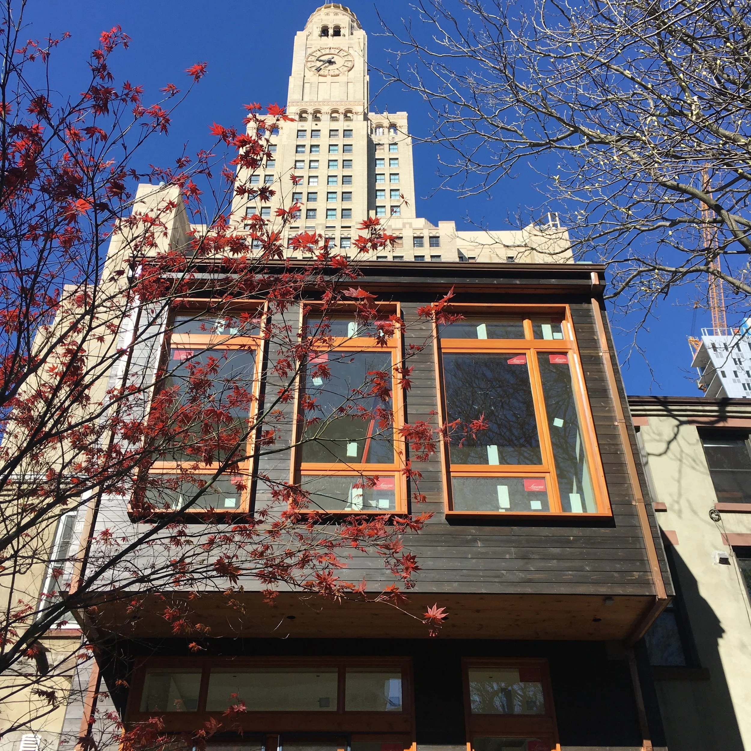  on the 2nd level, and a new penthouse with an additional bedroom and roof deck. Its location in the Brooklyn Academy of Music Historic District and across the street from the venerable Williamsburgh Savings Bank Building drove some of the more uniqu