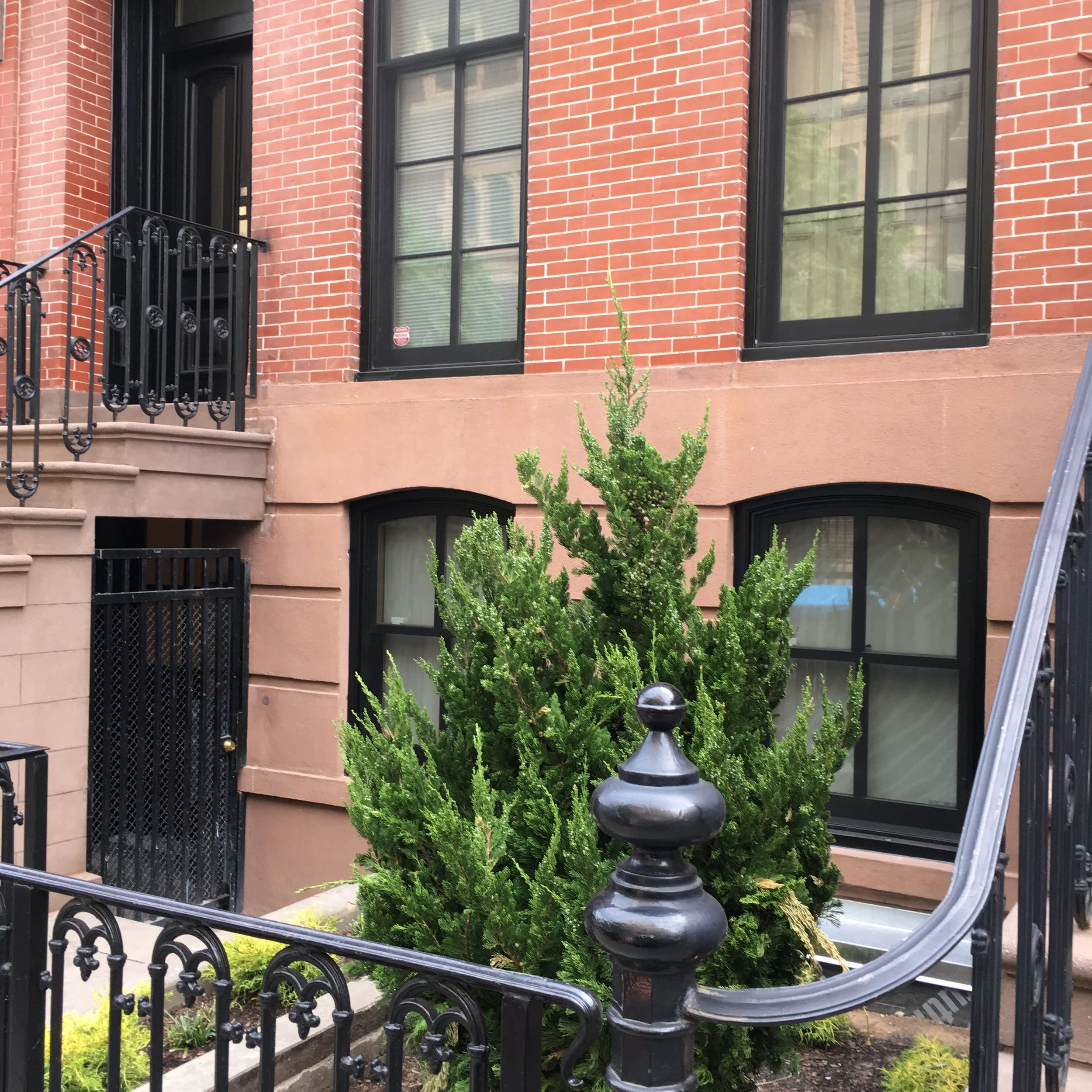  project would be a gut renovation that would build upon the Landmarked facade and intact historic plasterwork on the parlor level. The scope called for the house to be restored to a single-family residence from a two-family home and include the rein