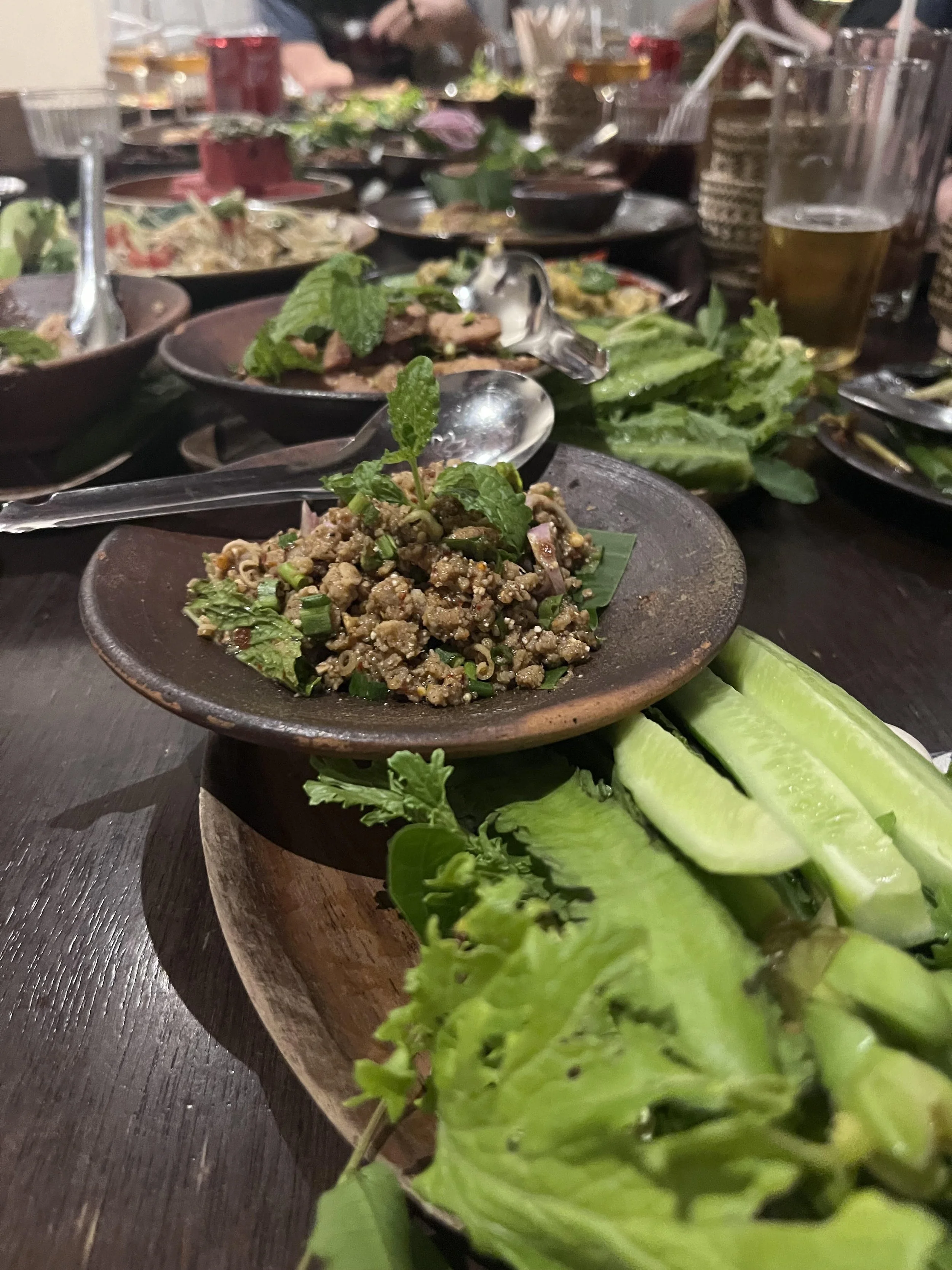 Raw, Bitter, Sour and Spiced: The Laap Family