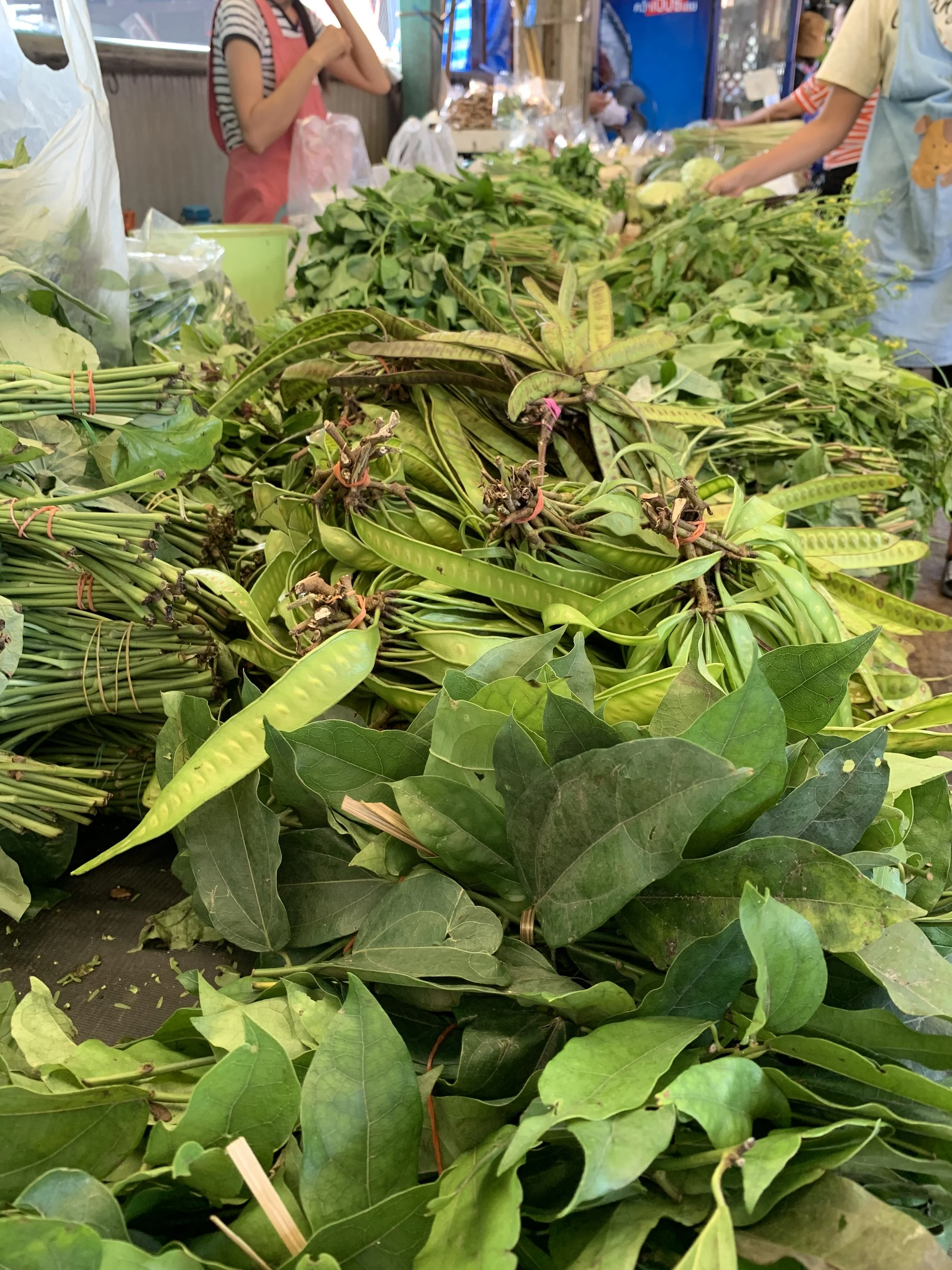 Fresh Thai herbs at a market, by Sebby Holmes.