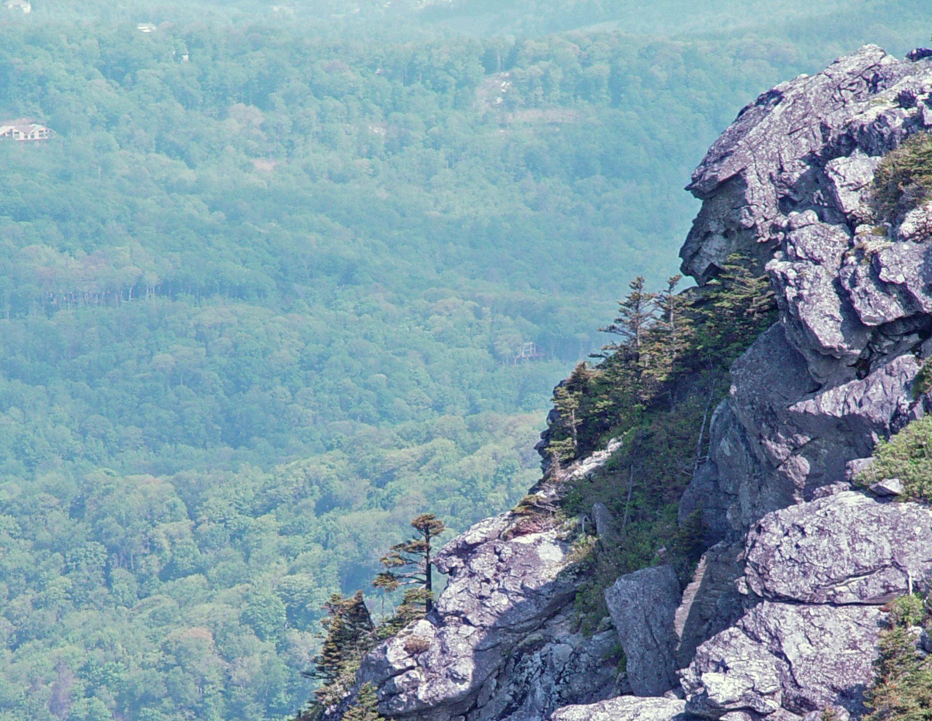 Grandfather Mountain.png