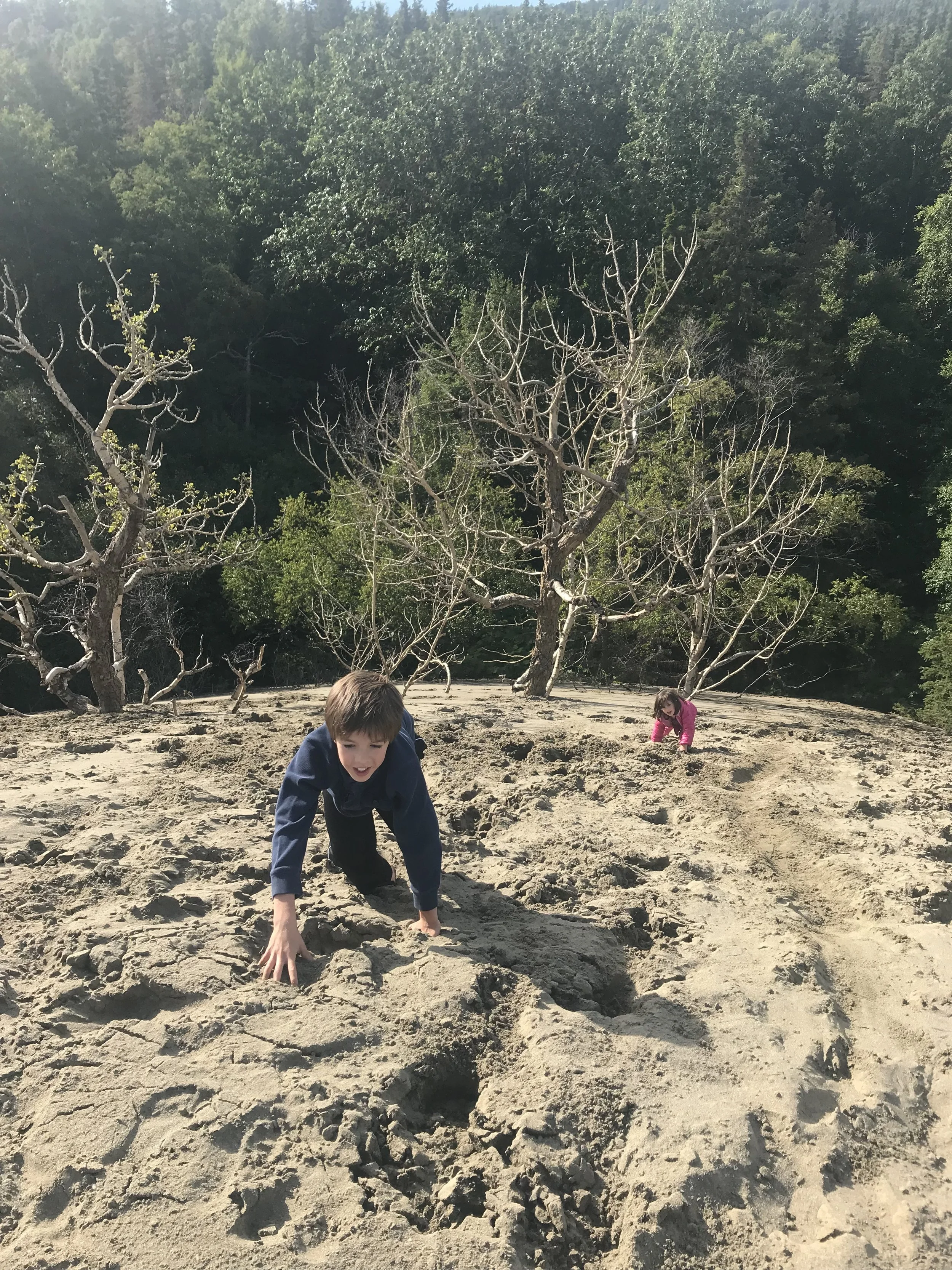 Sand Camp - Session I