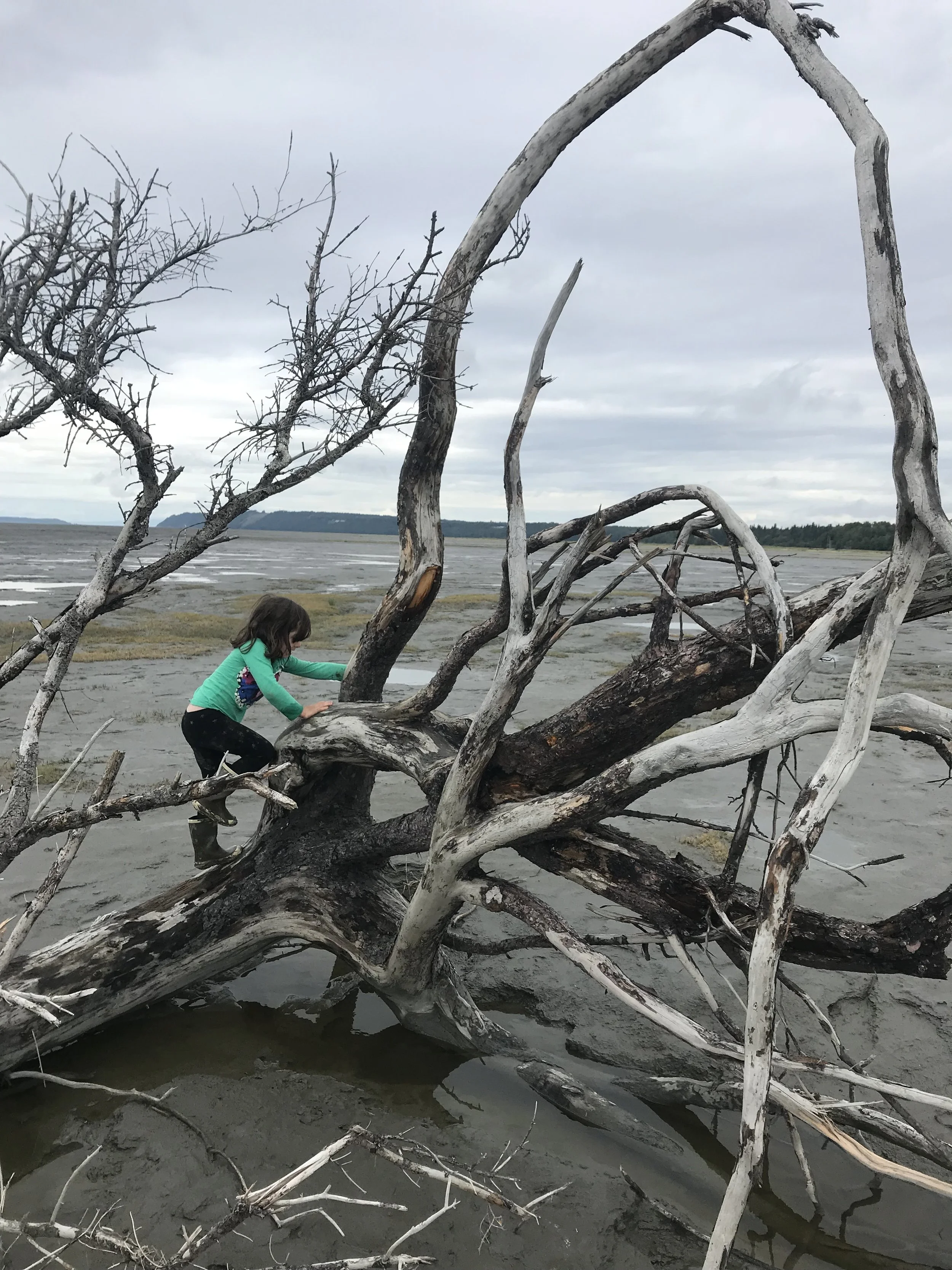 Mud Camp - Session II