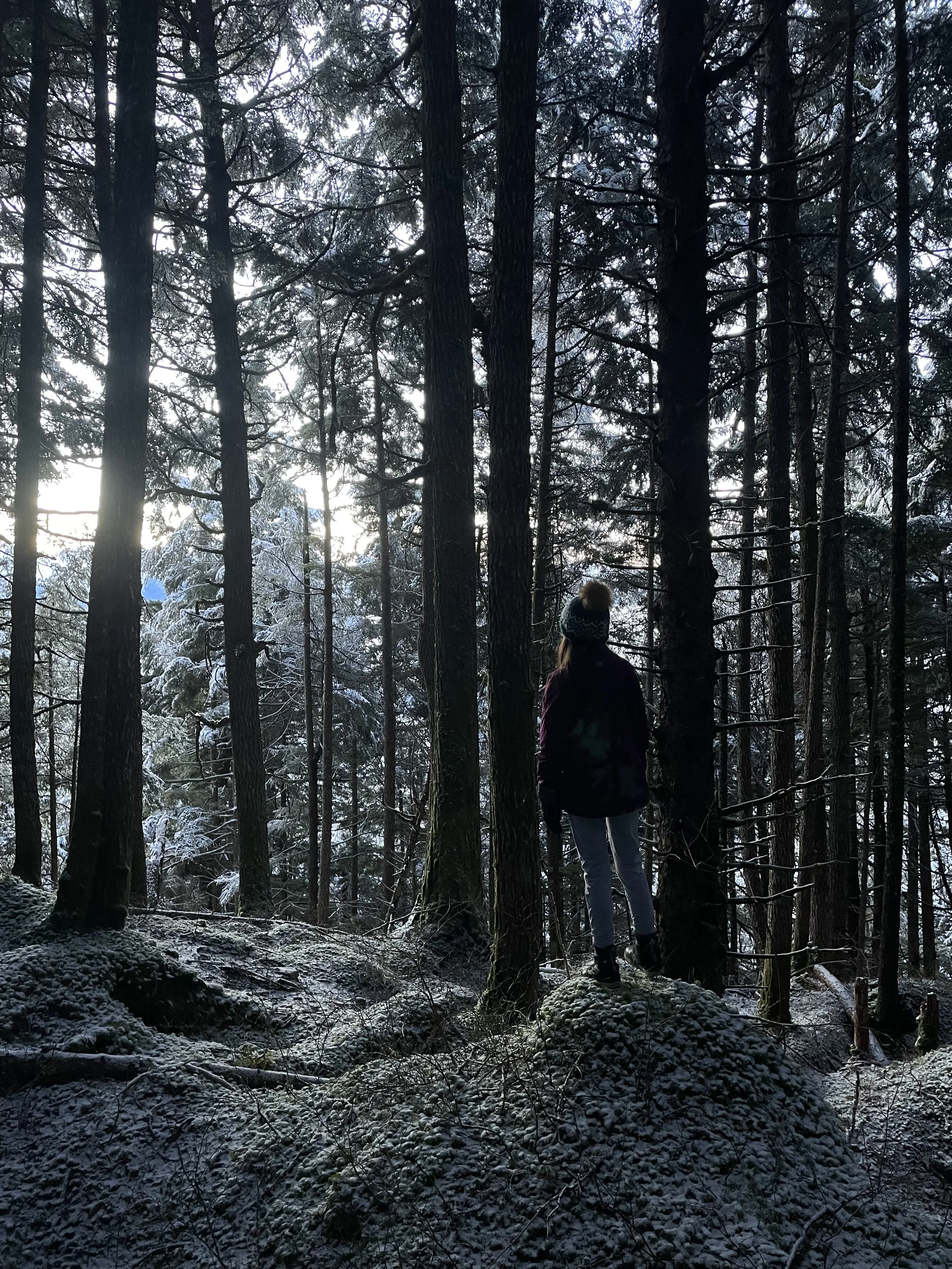 The Church that isn't a Church