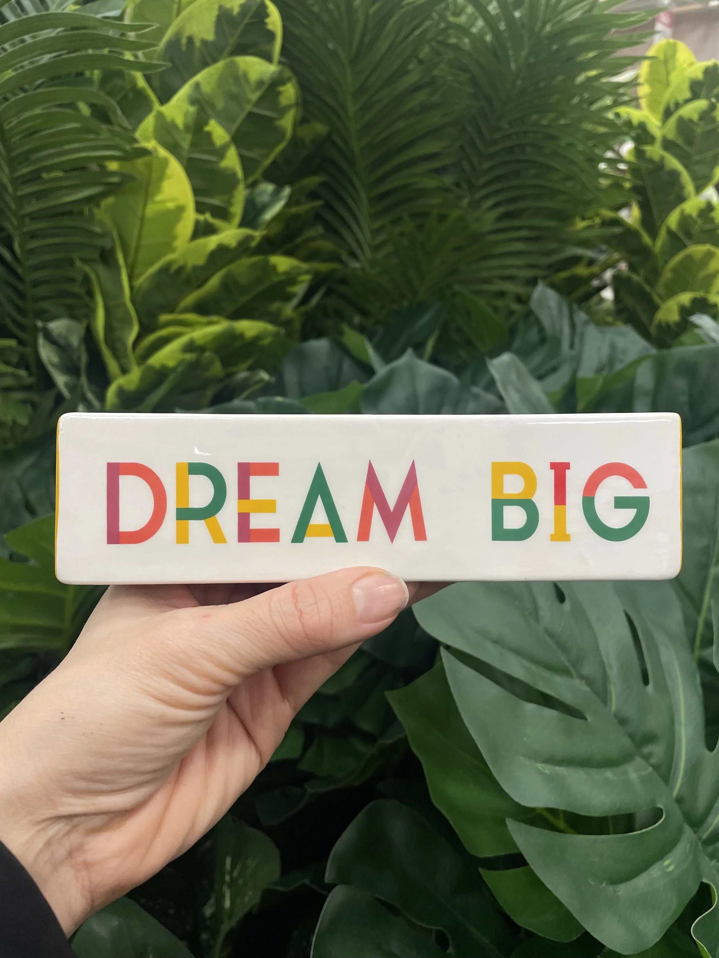 Building Belonging: The Inner Workings of Nature Song