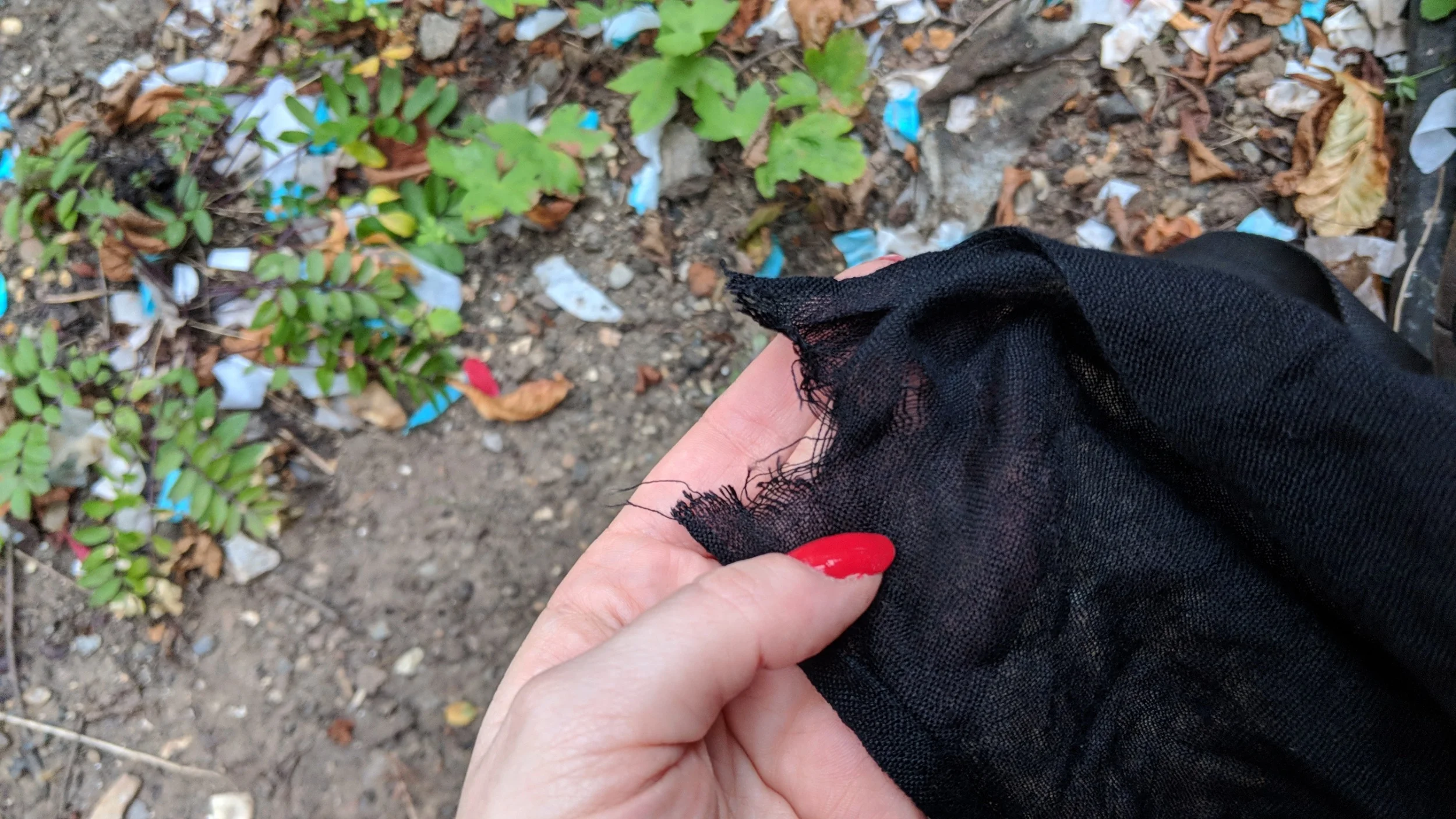 processed_MVIMG_20190902_190210.jpg