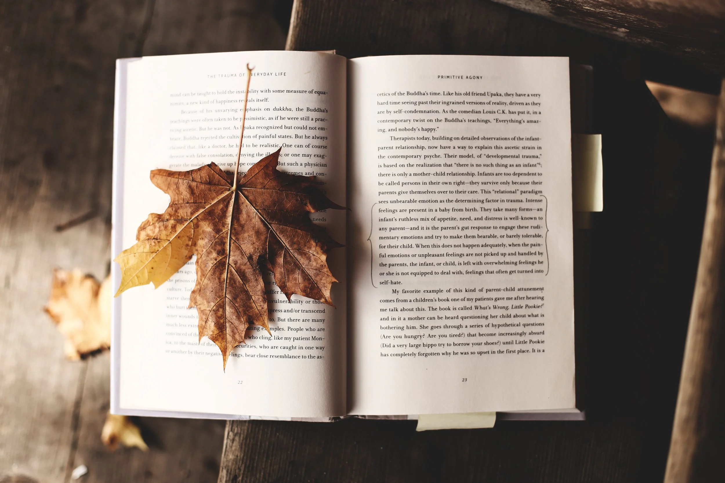 Books of October 2019