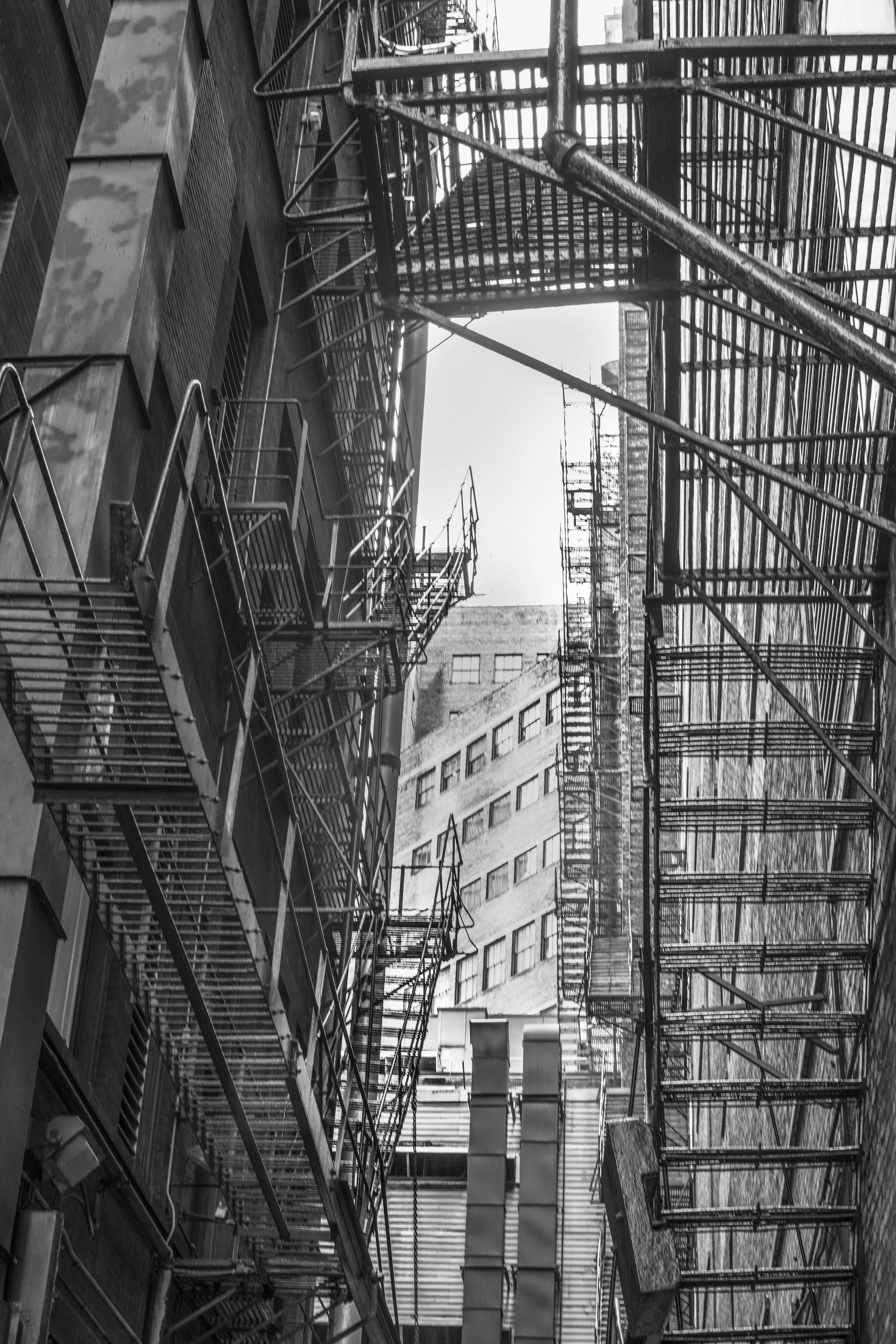 Chicago Alley Twisted.jpg