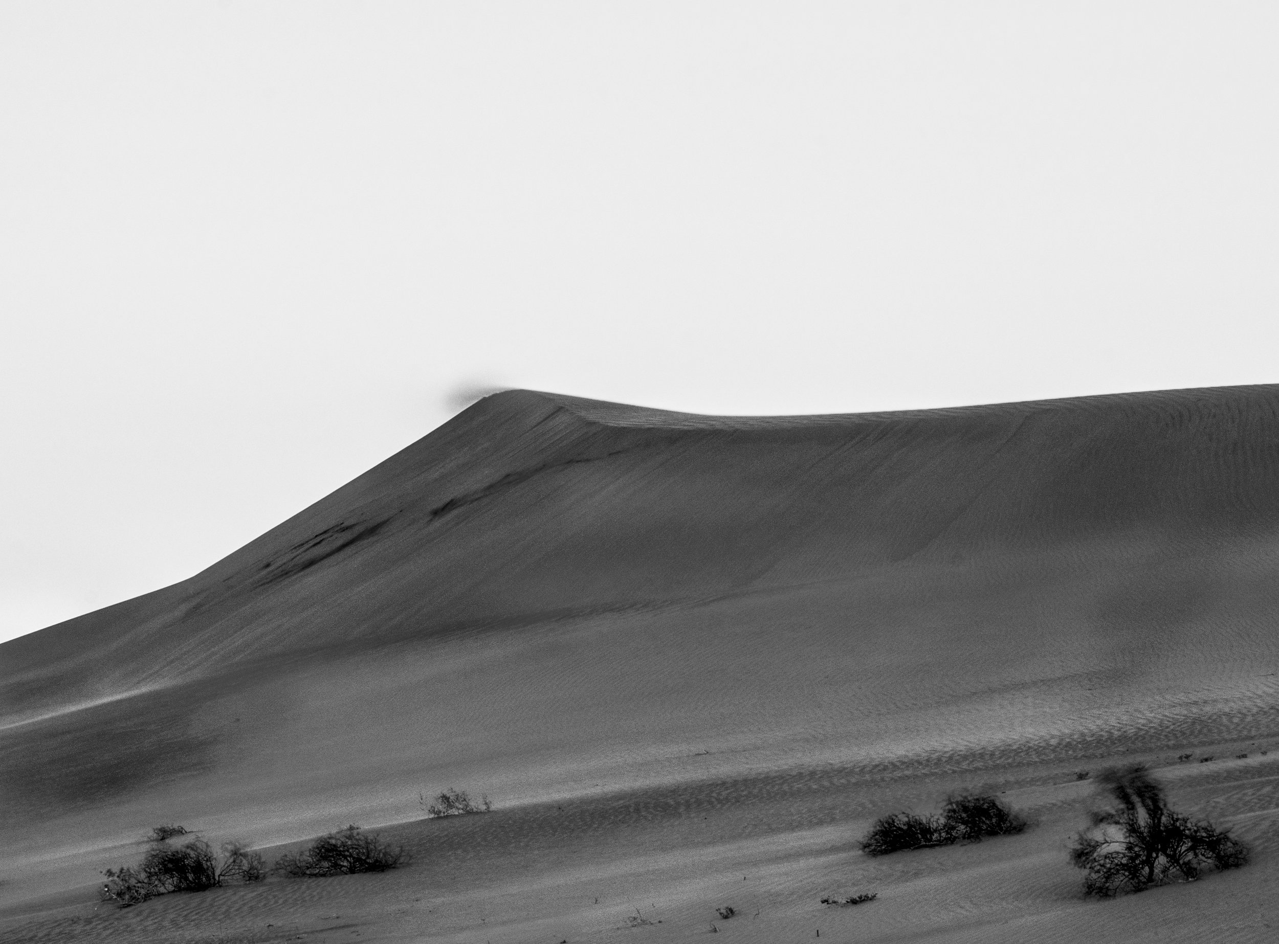 Buttercup Dunes 2.jpg