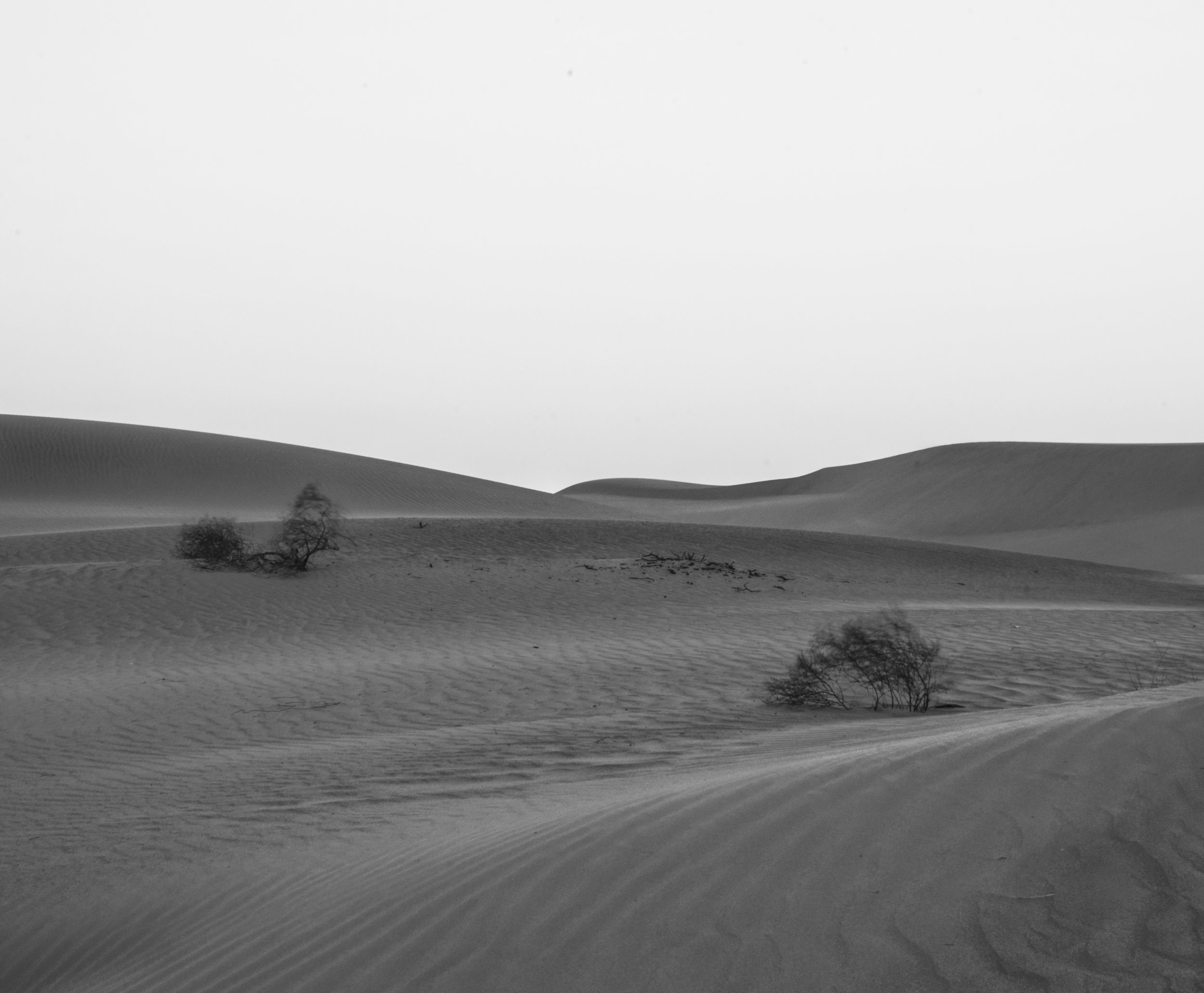 Buttercup Dunes 3.jpg