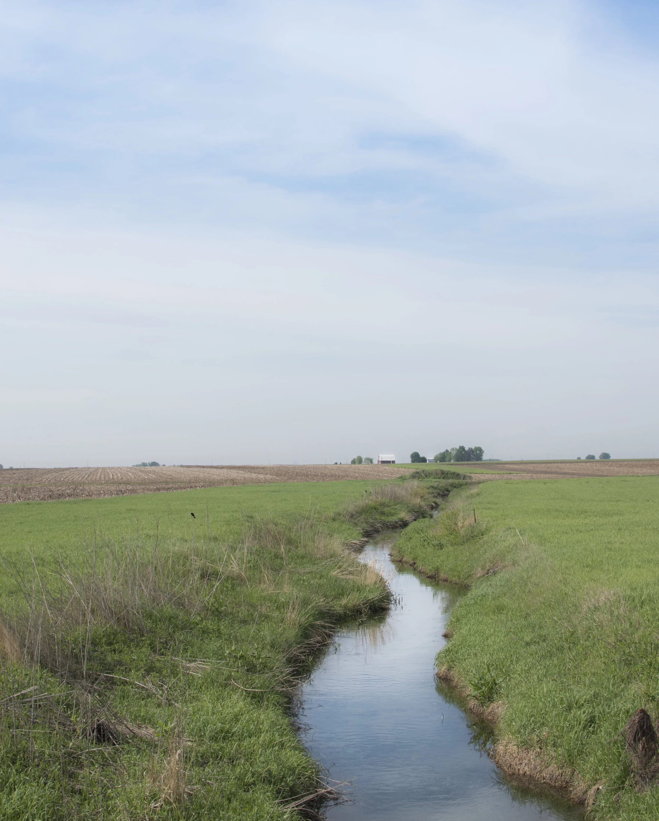 Illinois Farm 2.jpg