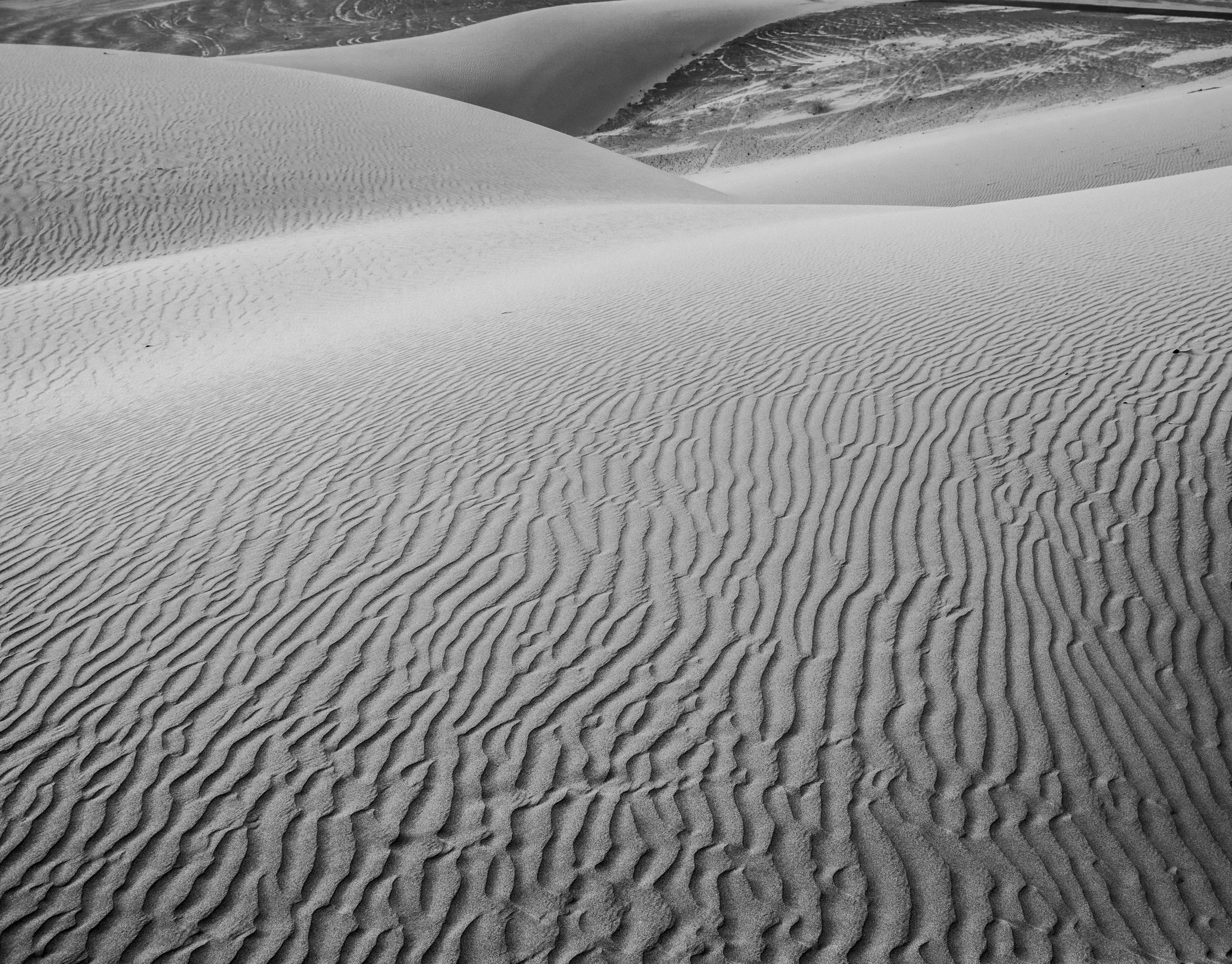 Sand Dunes BNW 1.jpg