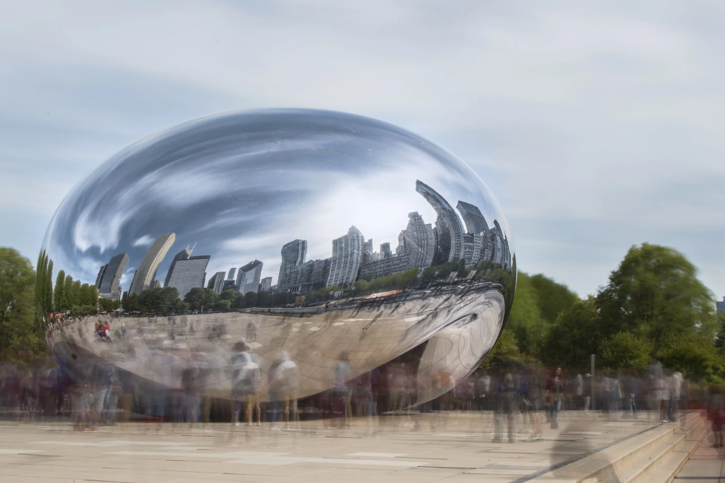 Bean Day 1.jpg