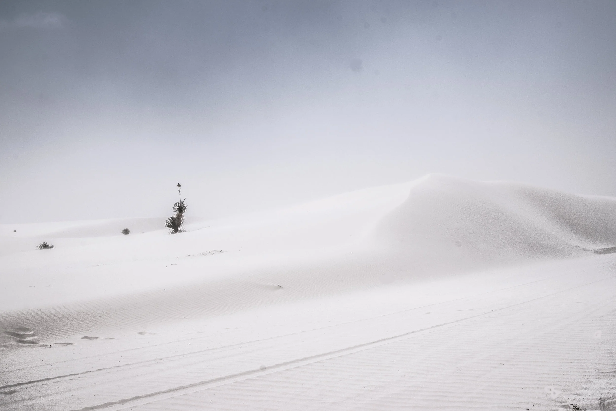 White Sands 4.jpg