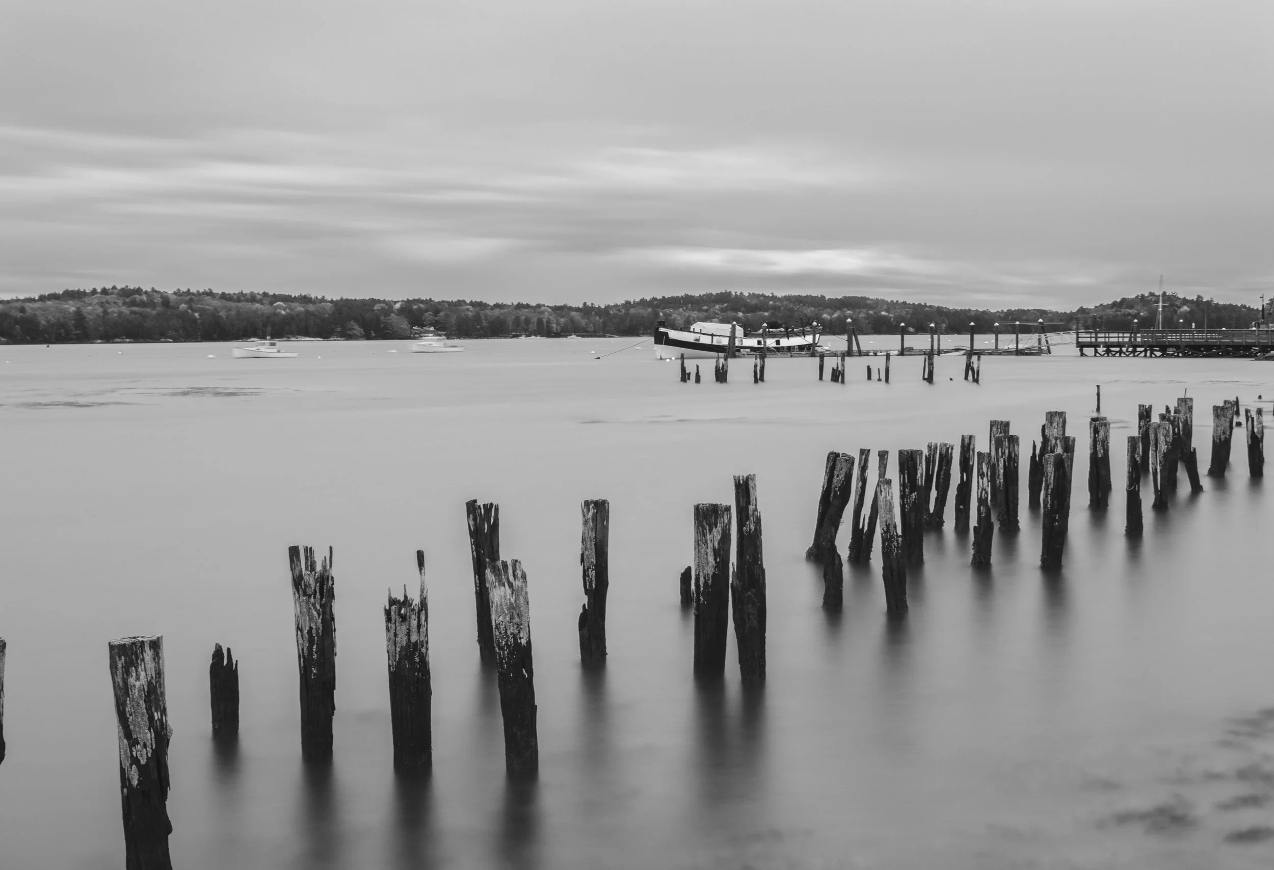 Maine BnW.jpg