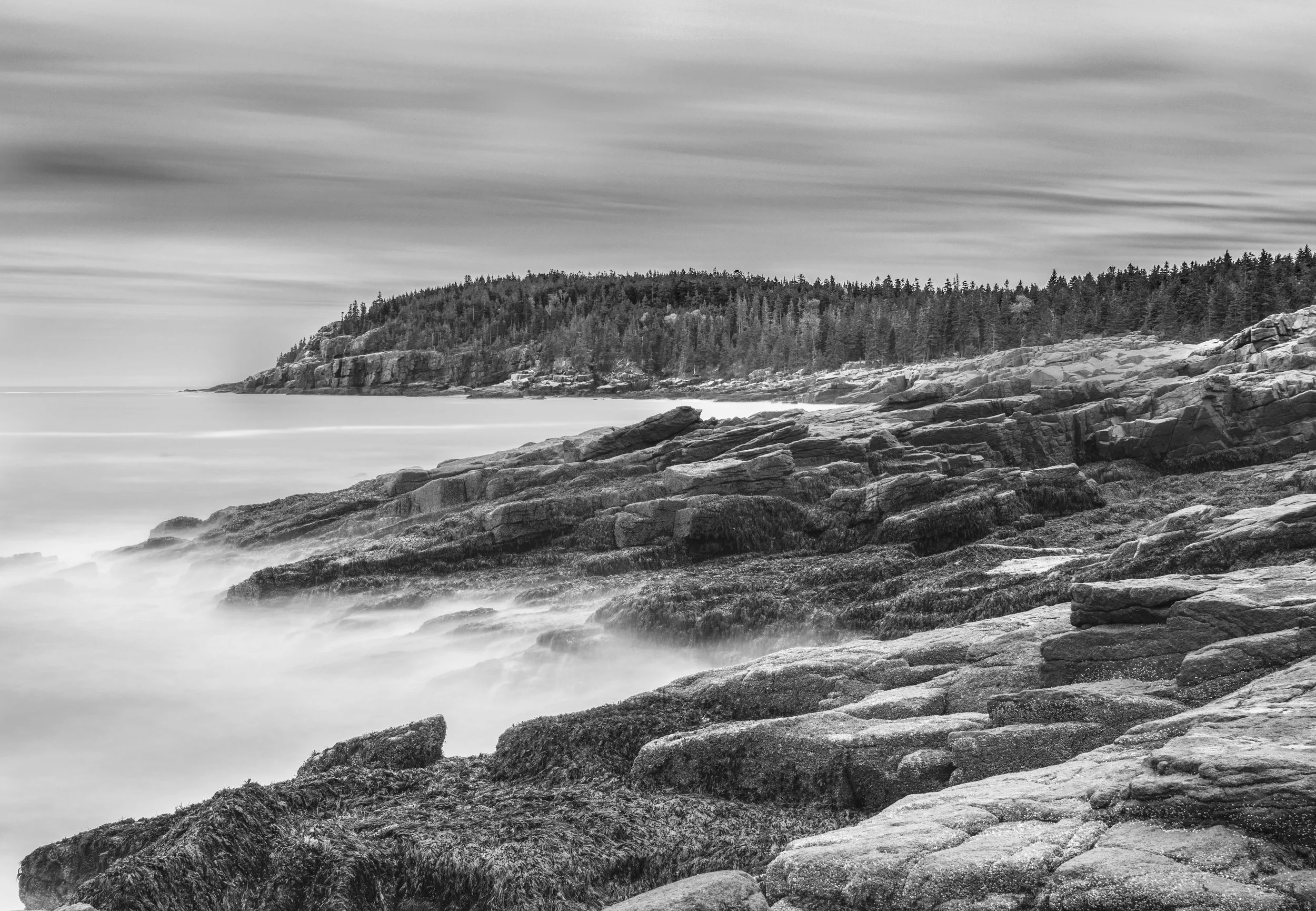 Maine BNW Acadia.jpg