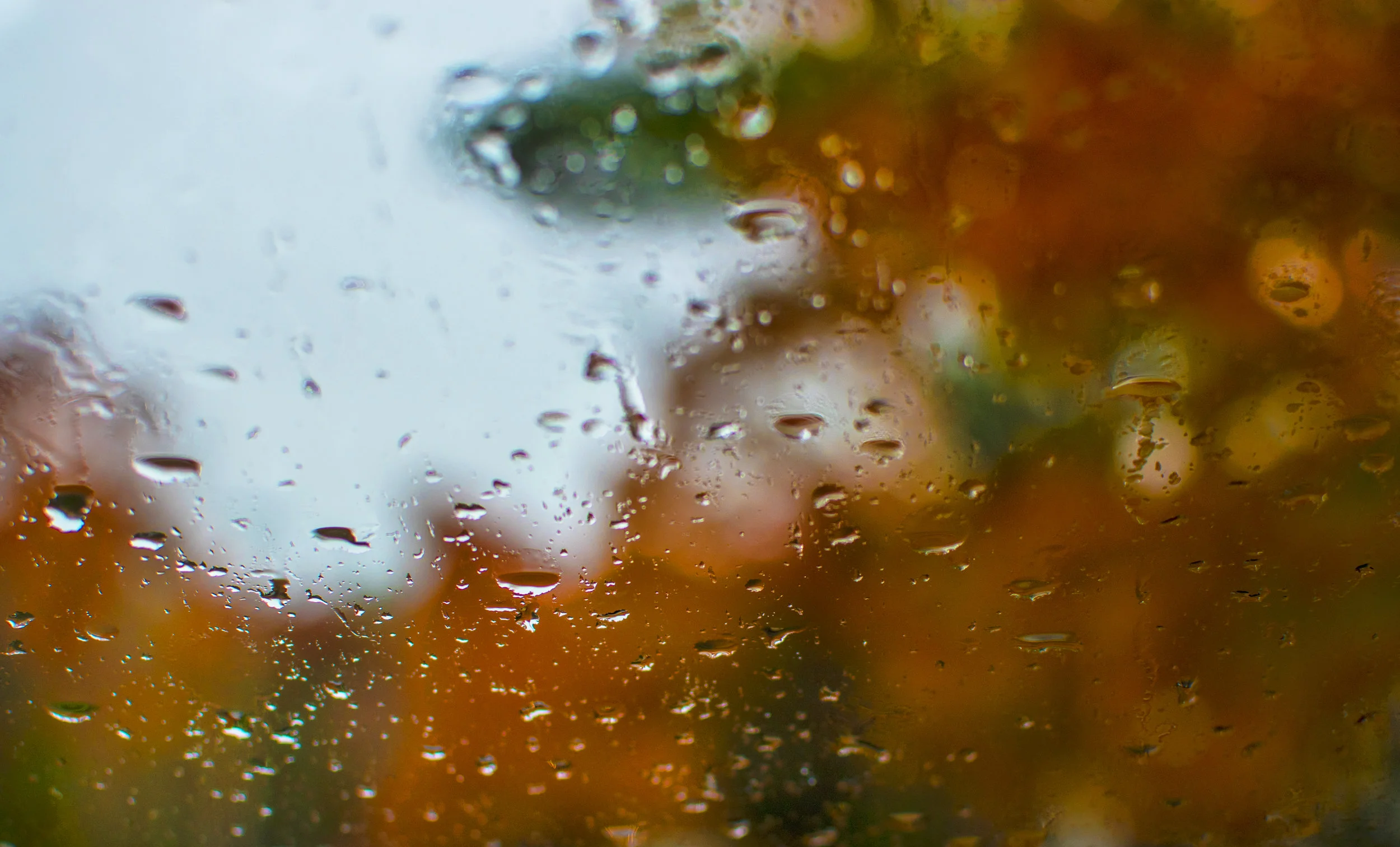 Maine Rain Abstract.jpg