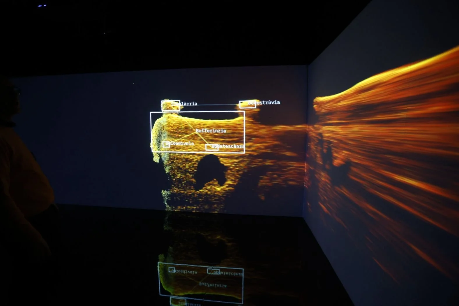 WhatsApp Image 2026-02-05 at 15.02.15.jpeg