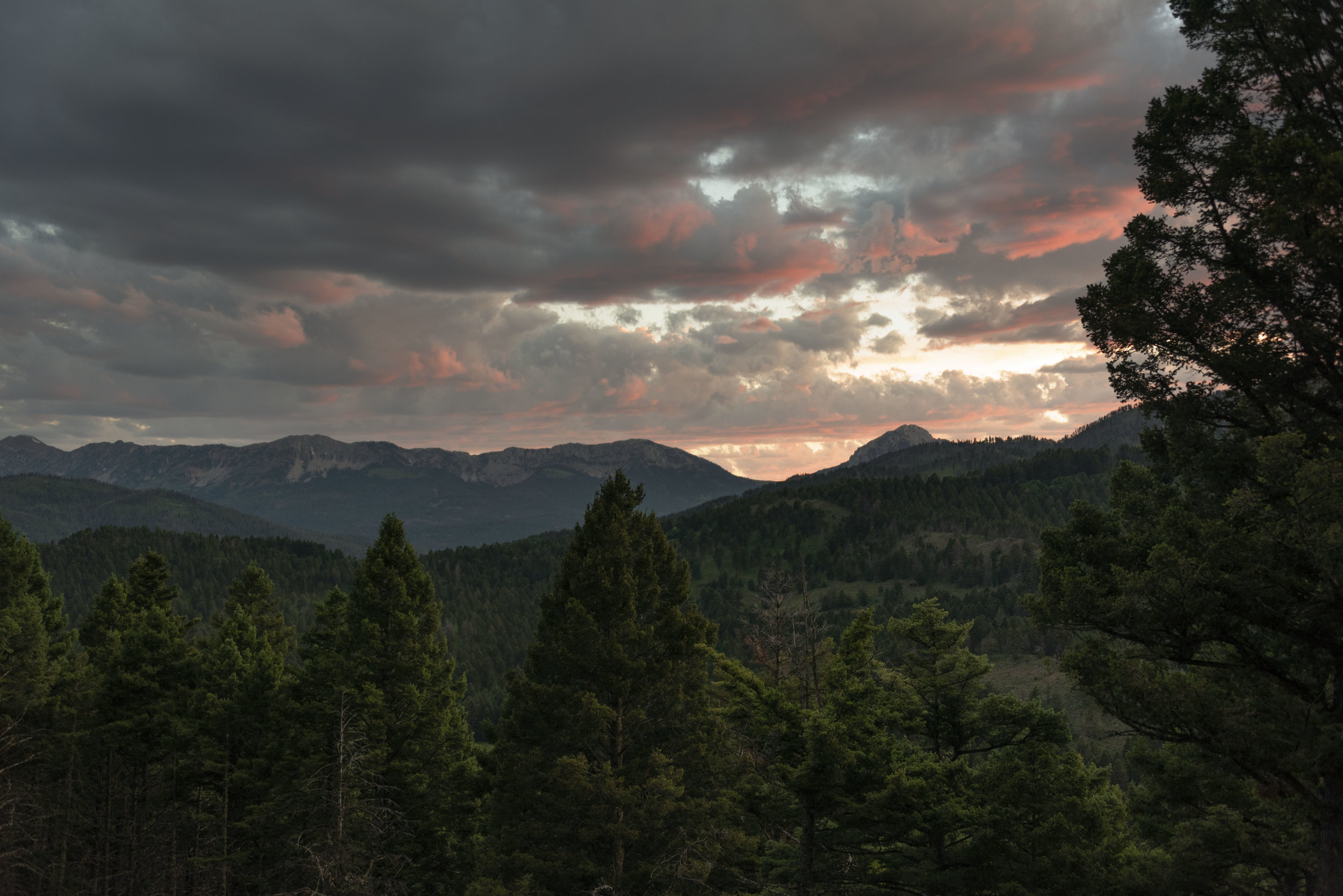 Bridger Mountain Range at Sunset: Montana