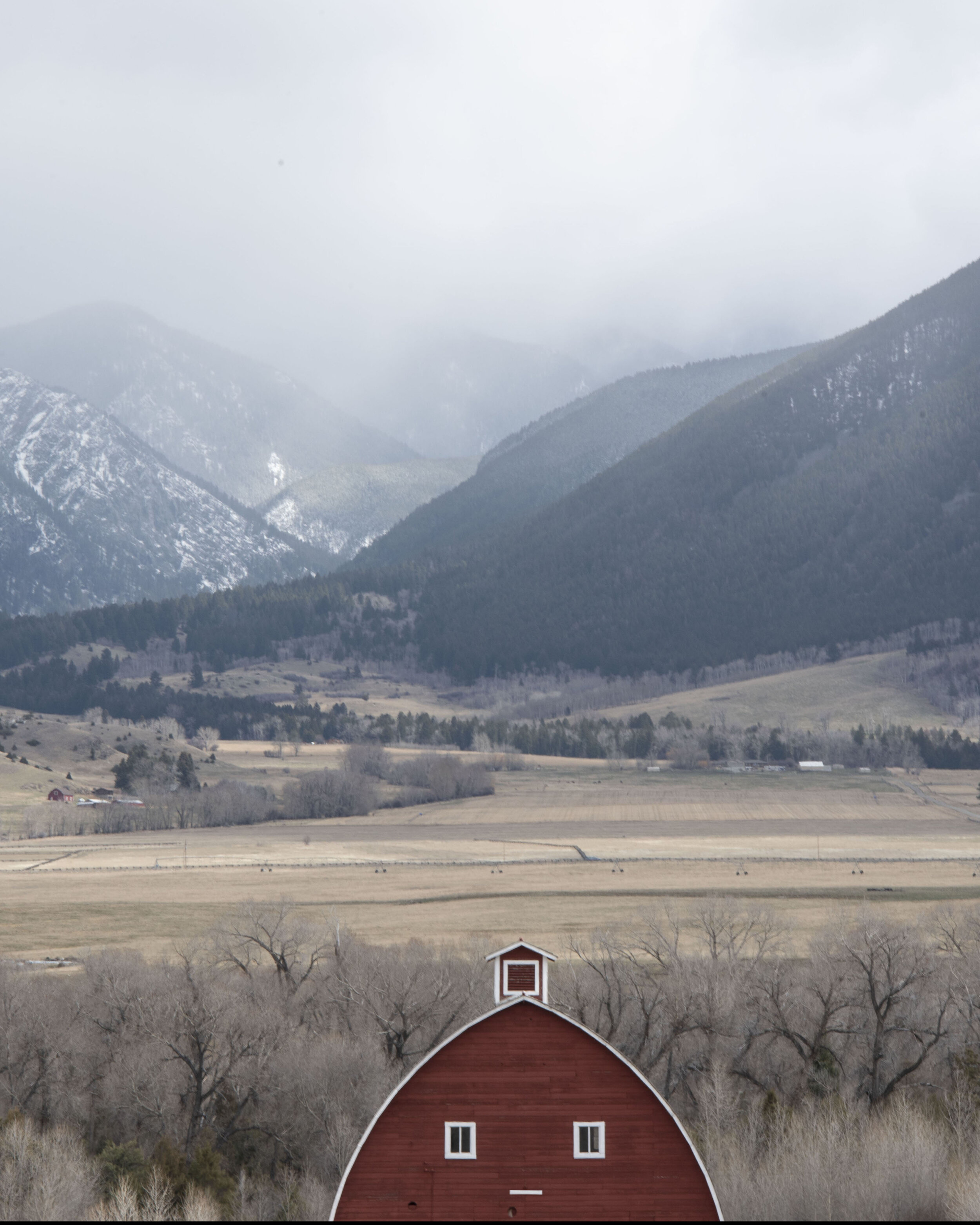 Indifferent Barn: Paradise Valley, MT