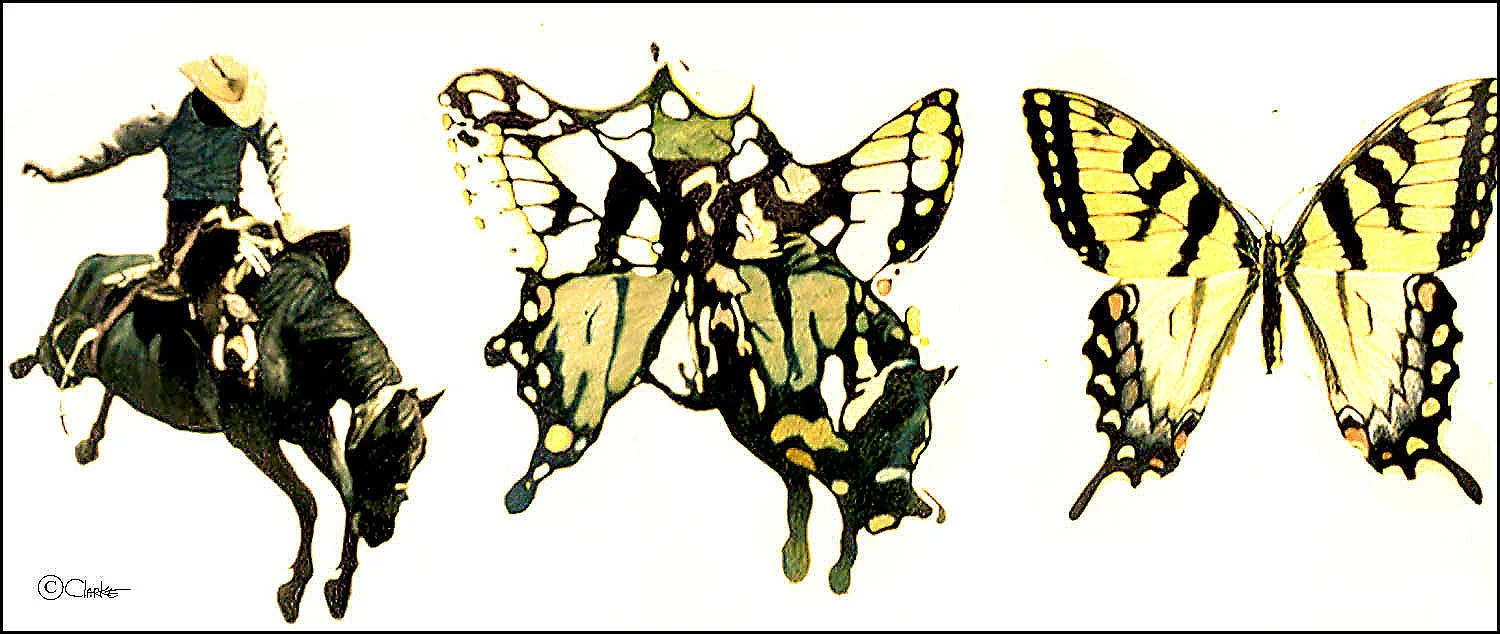 BUTTERBOY HORSEFLY
