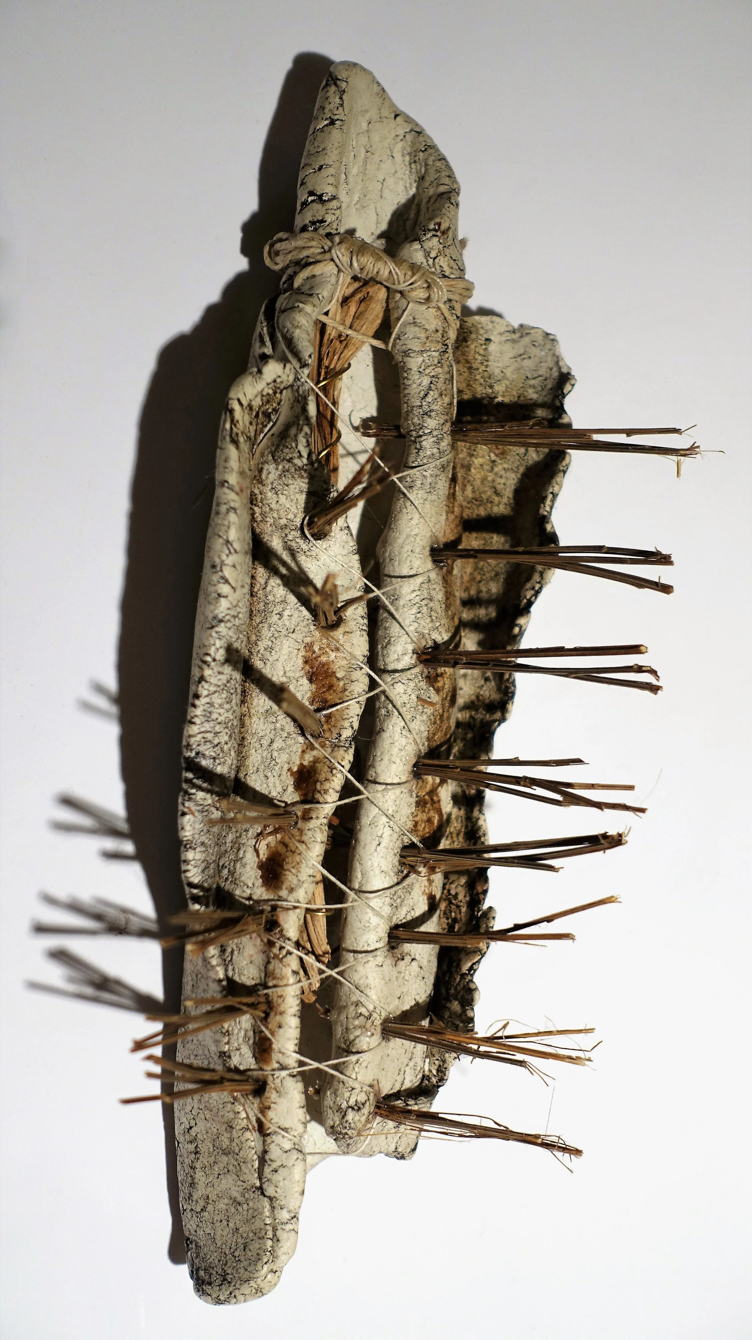 RehaviaD_Cutting_ Detail2 (2).JPG