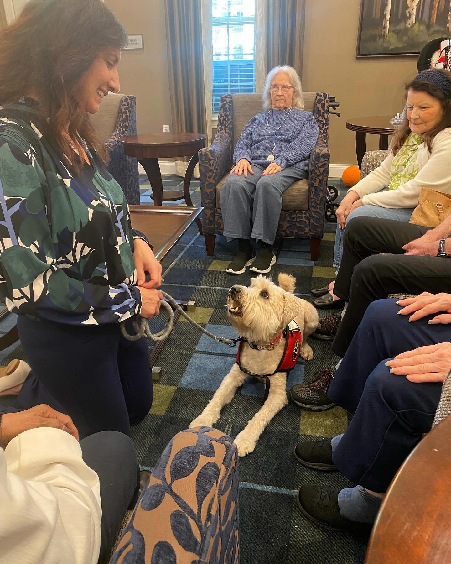 🐾 Winston, our favorite four-legged team member, made a special visit to @waltonwoodseniorliving this week&mdash;and let&rsquo;s just say, he stole the show! 💛🐶

Alongside his mom (aka Carole Cullen, LMFT), Winston brought joy, comfort, and lots o