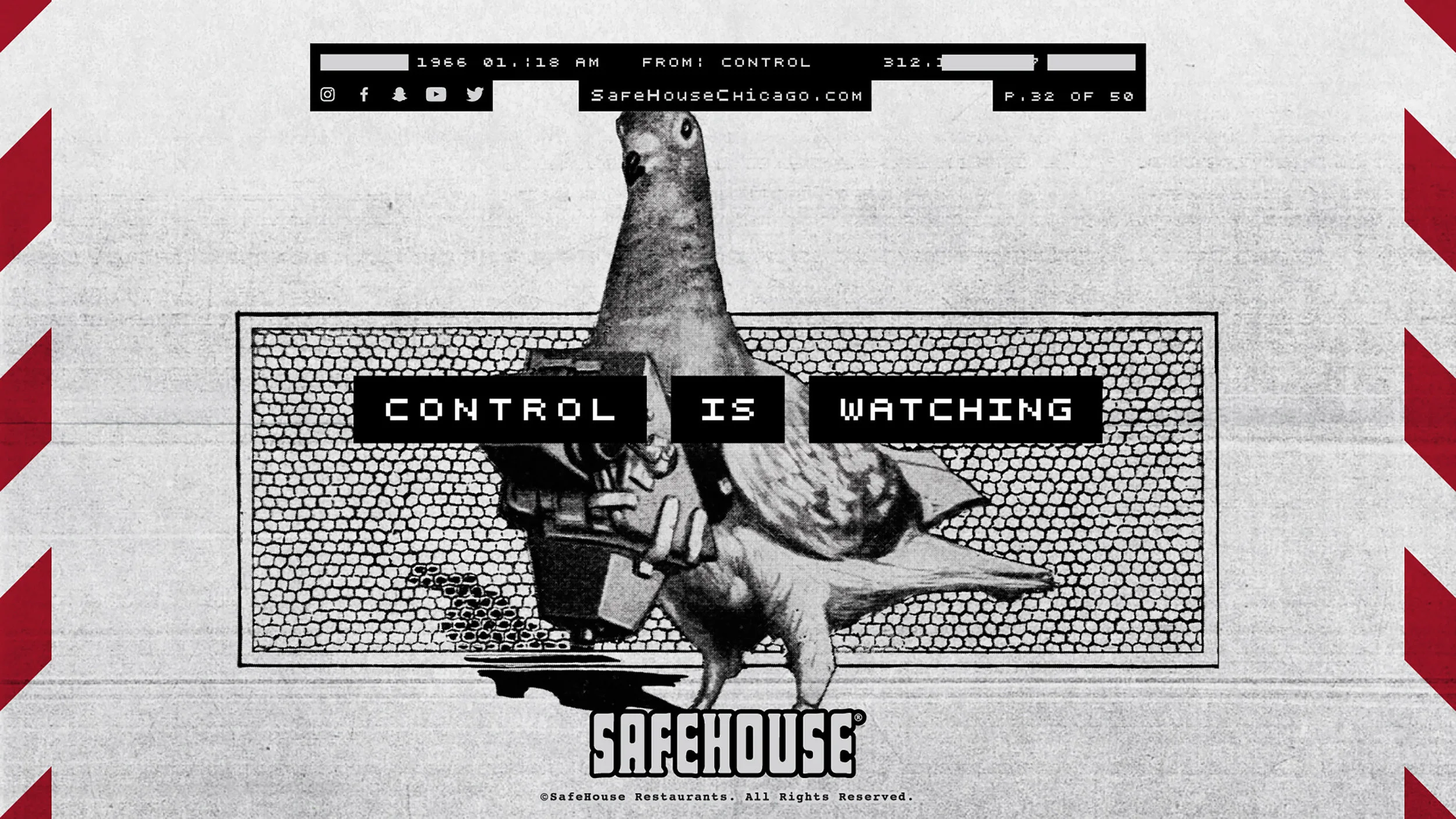 SAFEHOUSE_PIGEON.jpg