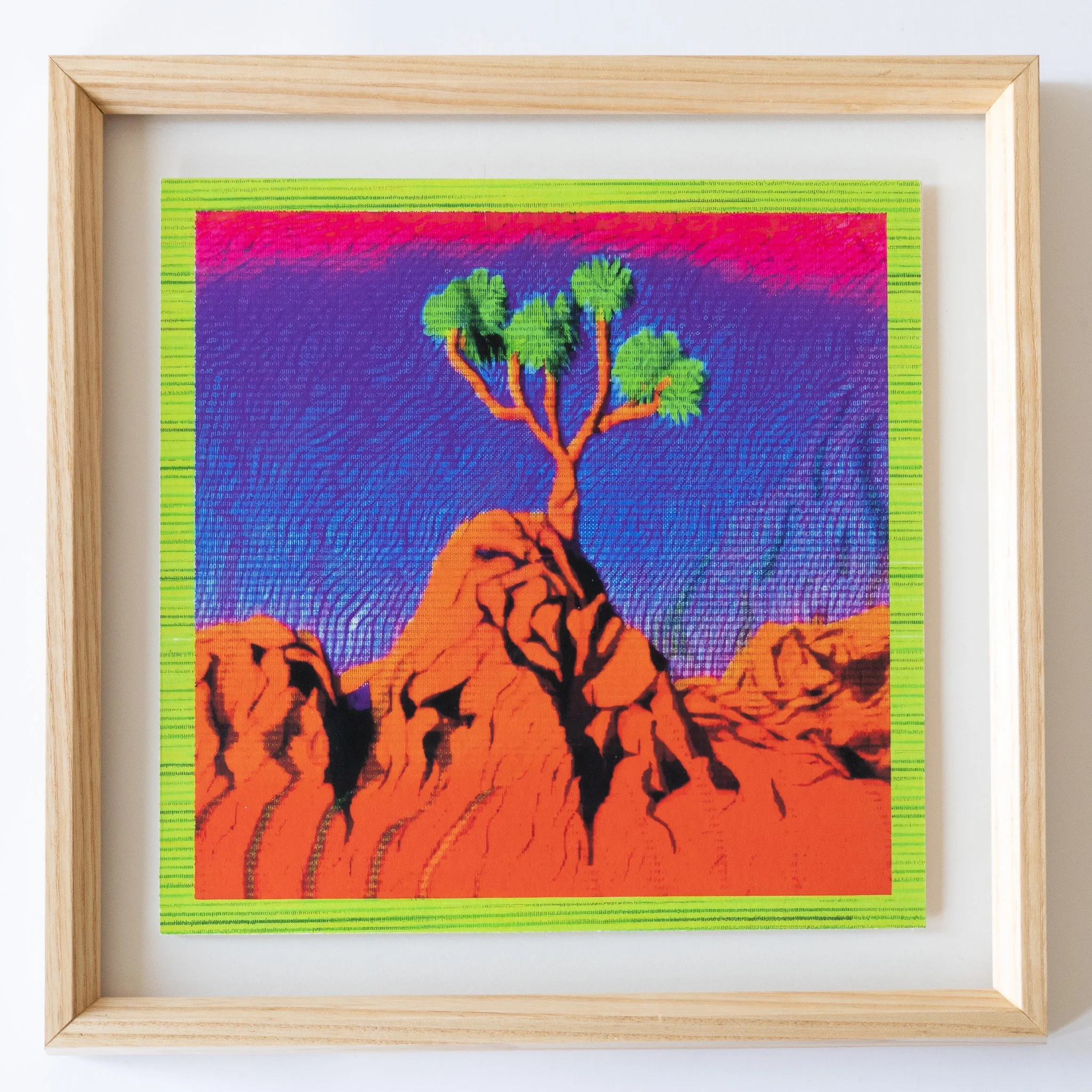 Arid Articulations 26 Framed Giclée Print