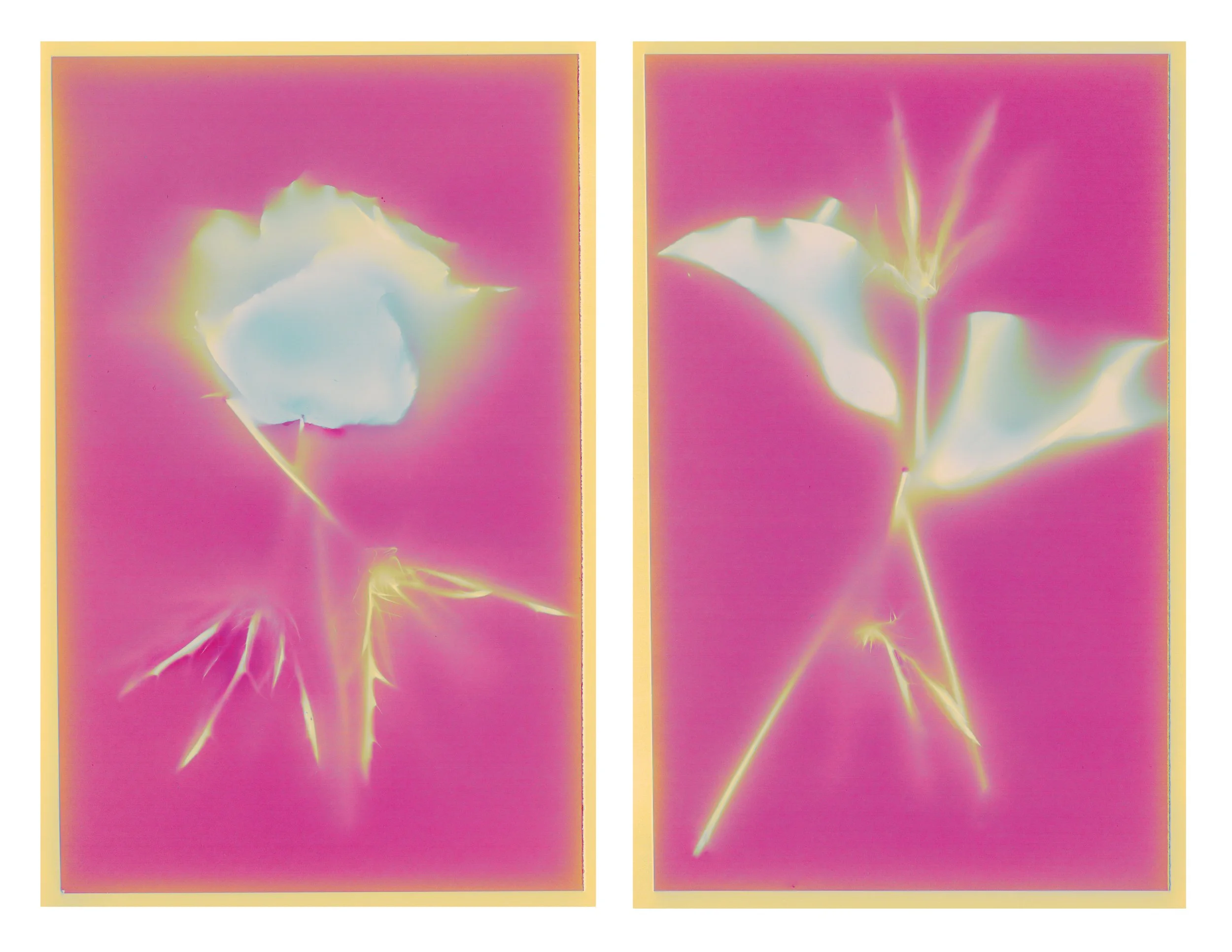 radiant index copy.jpg