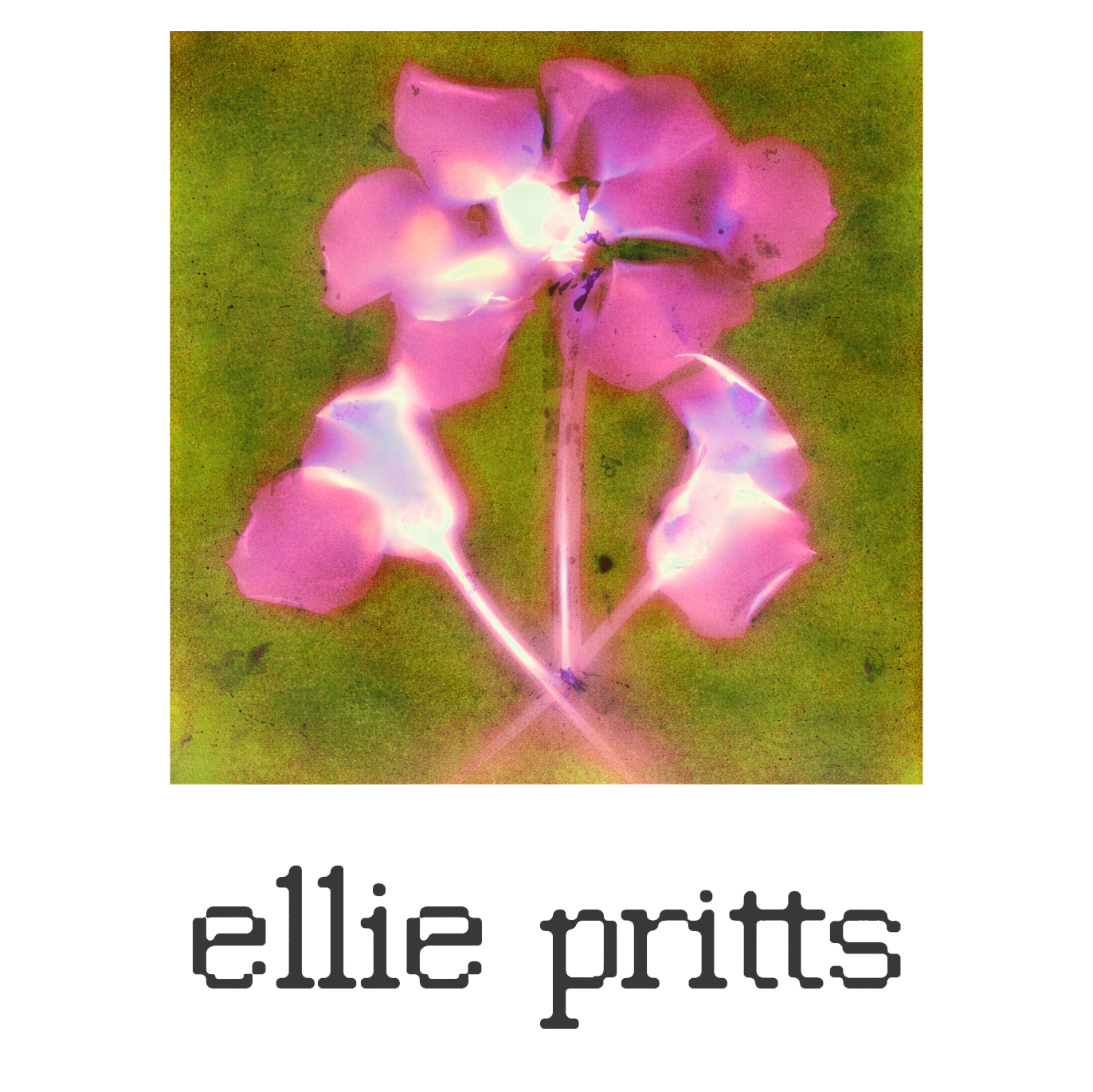 Ellie Pritts