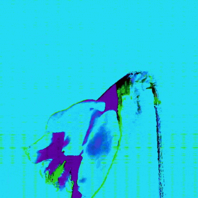 DynamicGlitchFleurIII-ezgif.com-optimize.gif