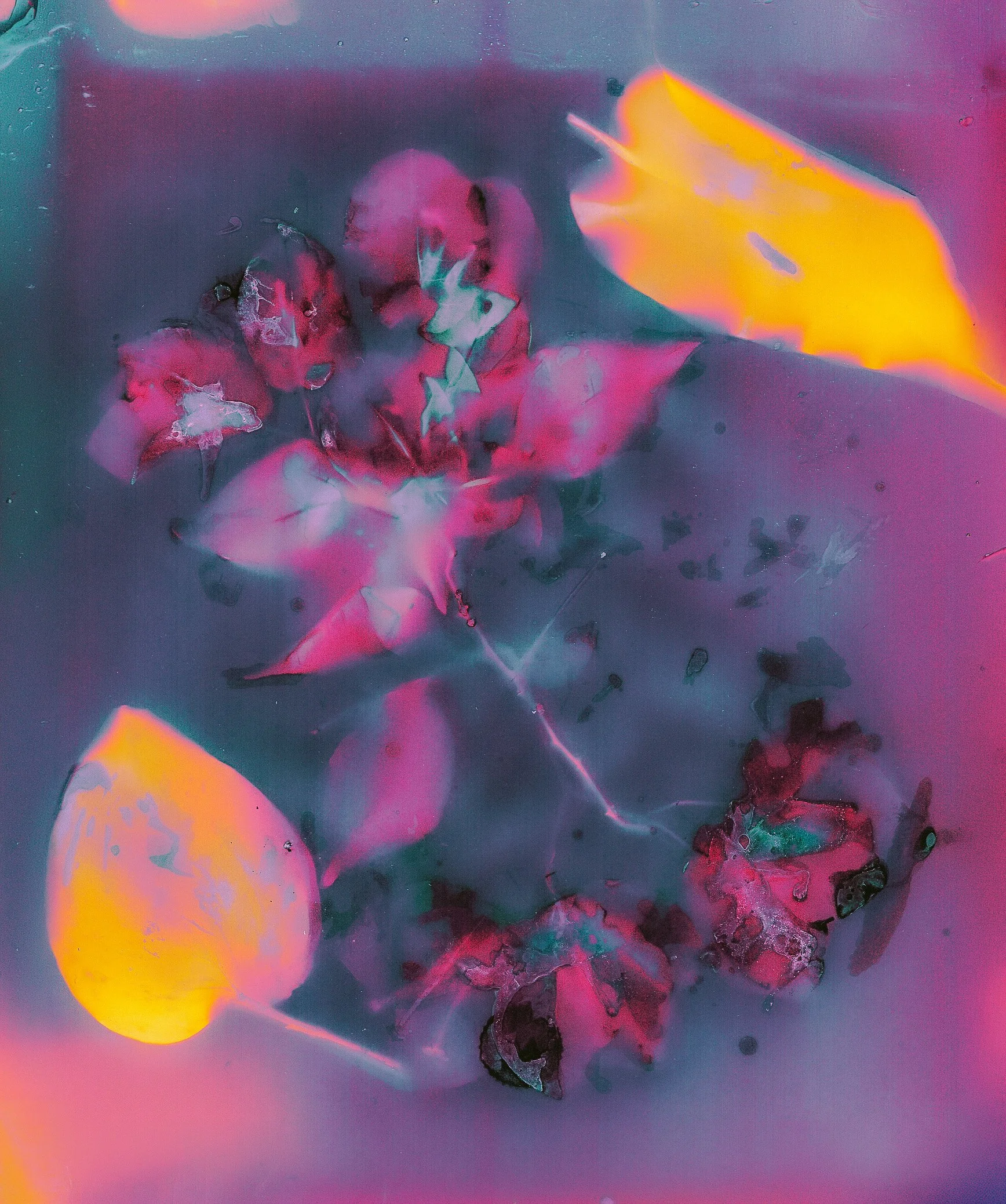 Image_20251216_0001 copy.jpg