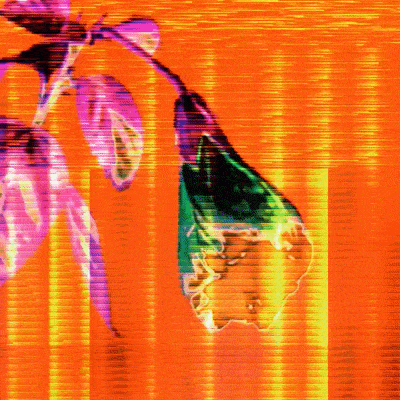 DynamicGlitchFleurII-ezgif.com-optimize.gif