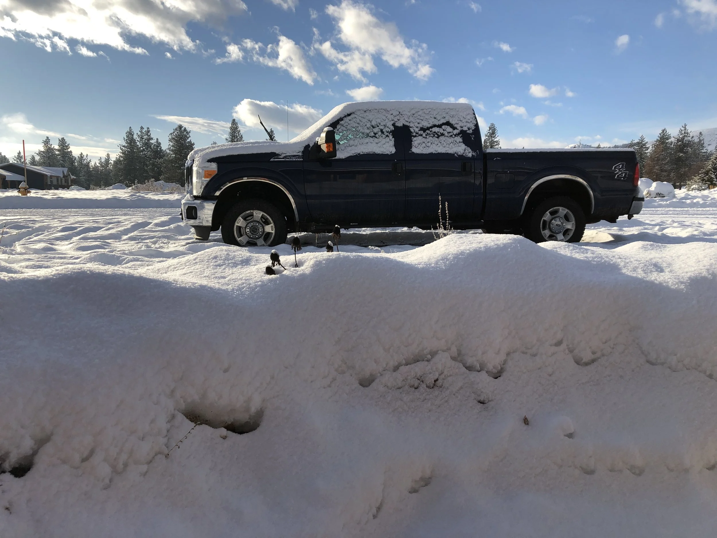 Our new truck to haul Taco Bahia
